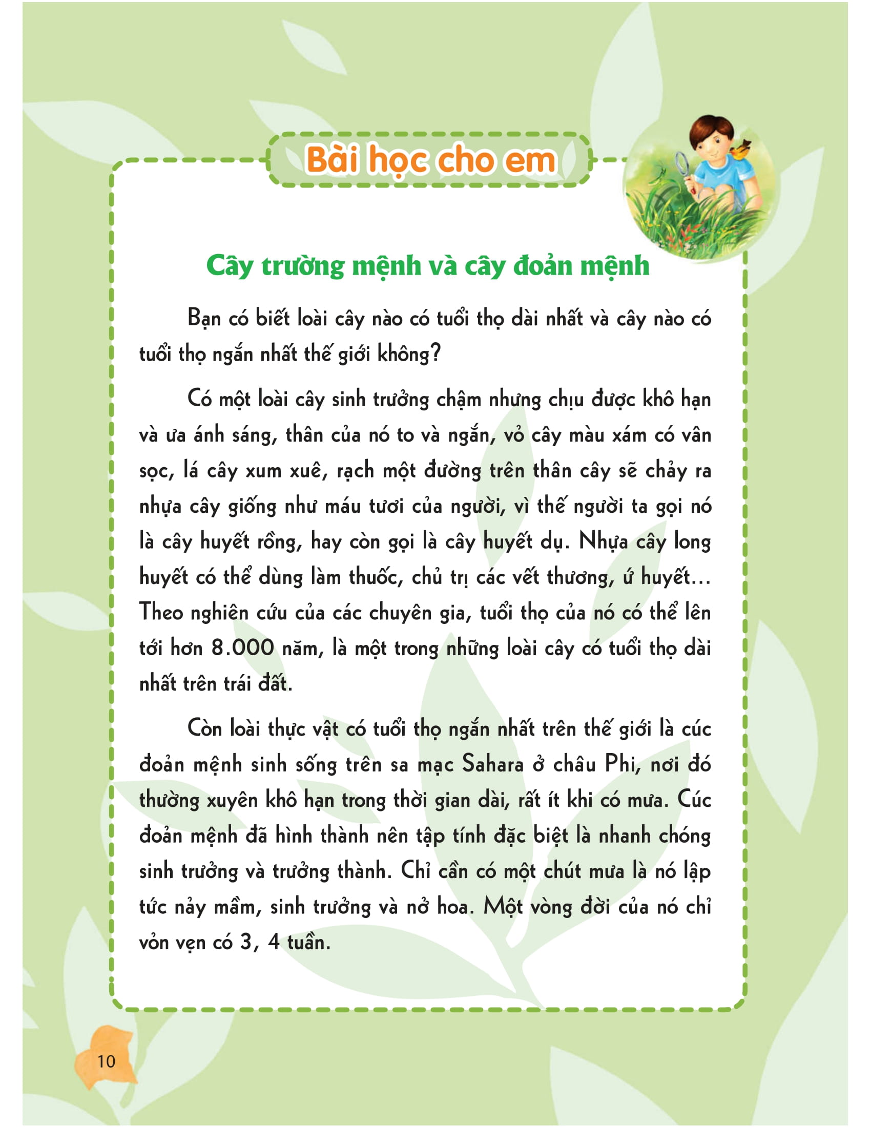 thư viện tri thức dành cho học sinh - khám phá thế giới tự nhiên