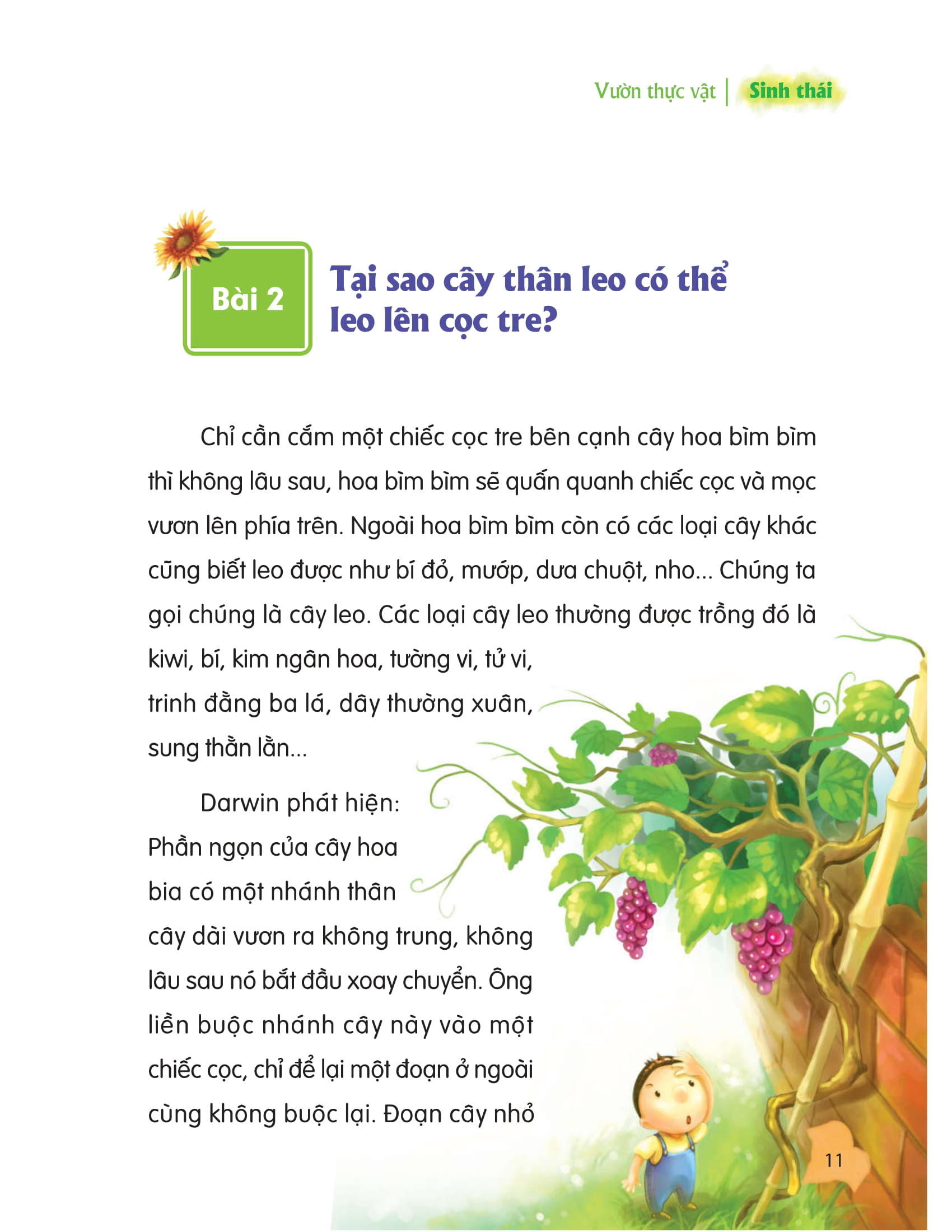 thư viện tri thức dành cho học sinh - khám phá thế giới tự nhiên