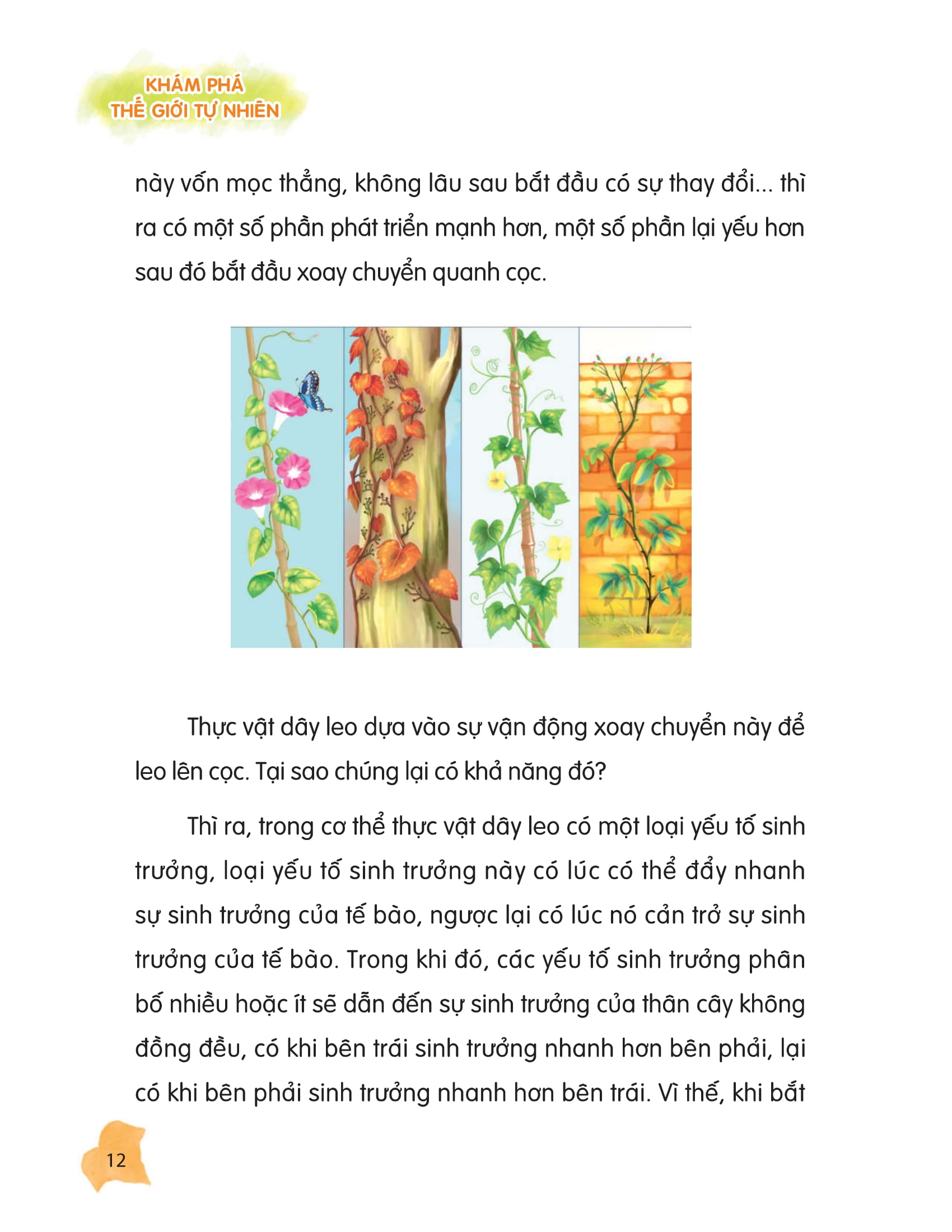 thư viện tri thức dành cho học sinh - khám phá thế giới tự nhiên