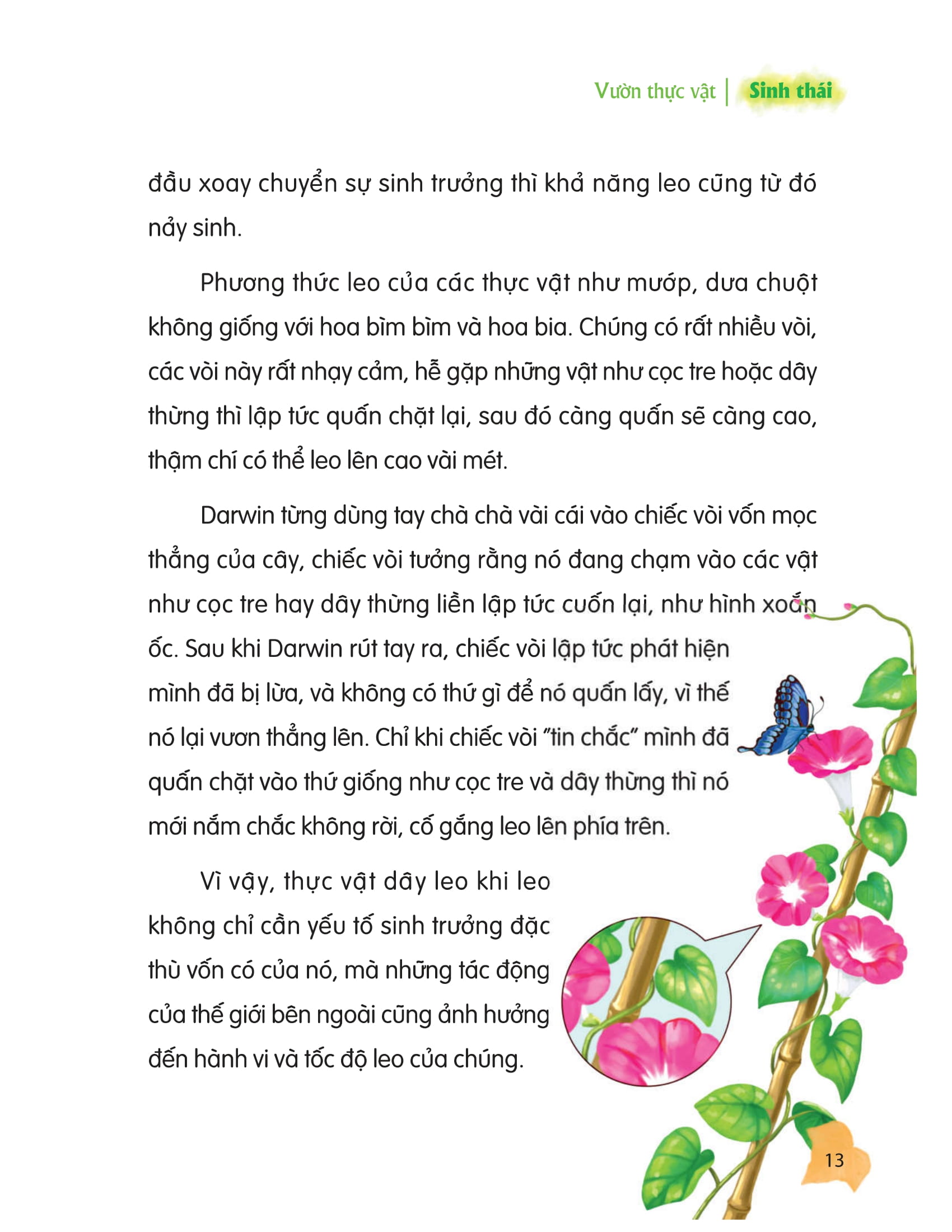 thư viện tri thức dành cho học sinh - khám phá thế giới tự nhiên