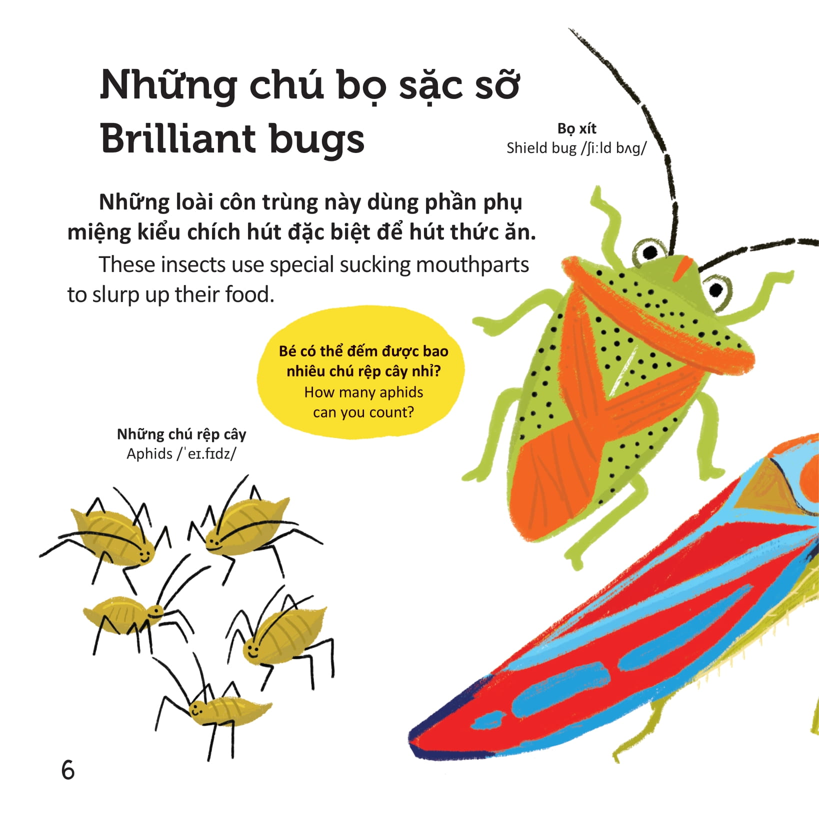 thư viện từ vựng đầu đời cho bé - các loài sâu bọ - bugs!