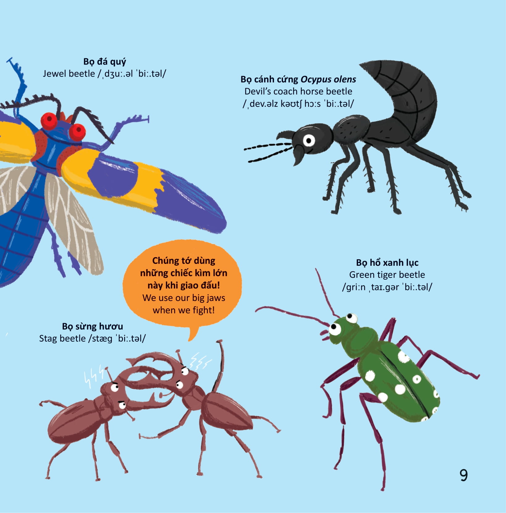 thư viện từ vựng đầu đời cho bé - các loài sâu bọ - bugs!