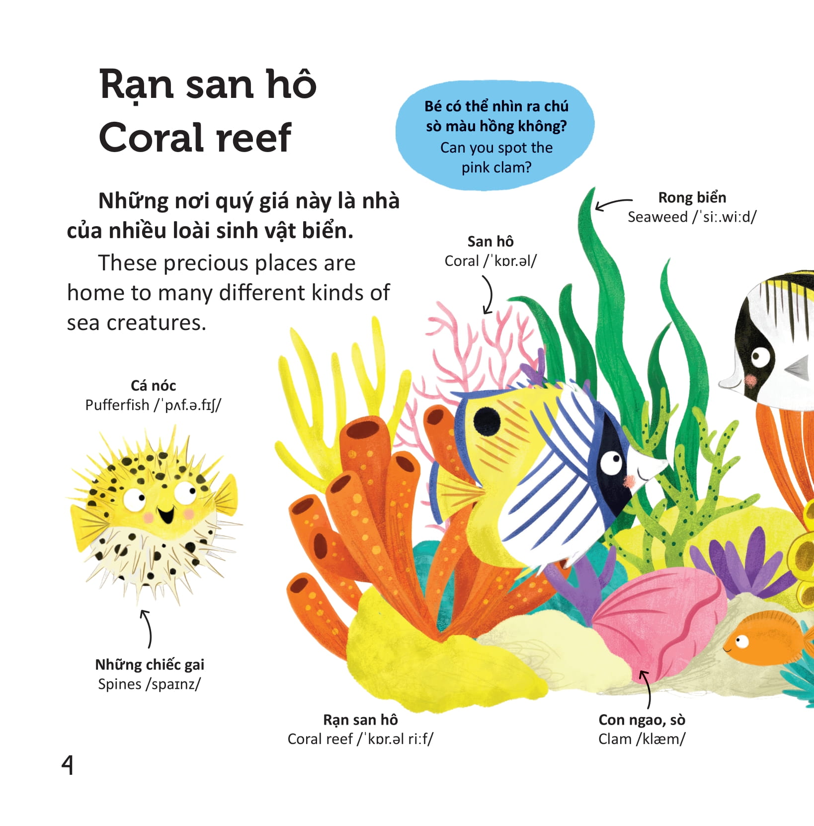 thư viện từ vựng đầu đời cho bé - động vật dưới biển - under the sea!