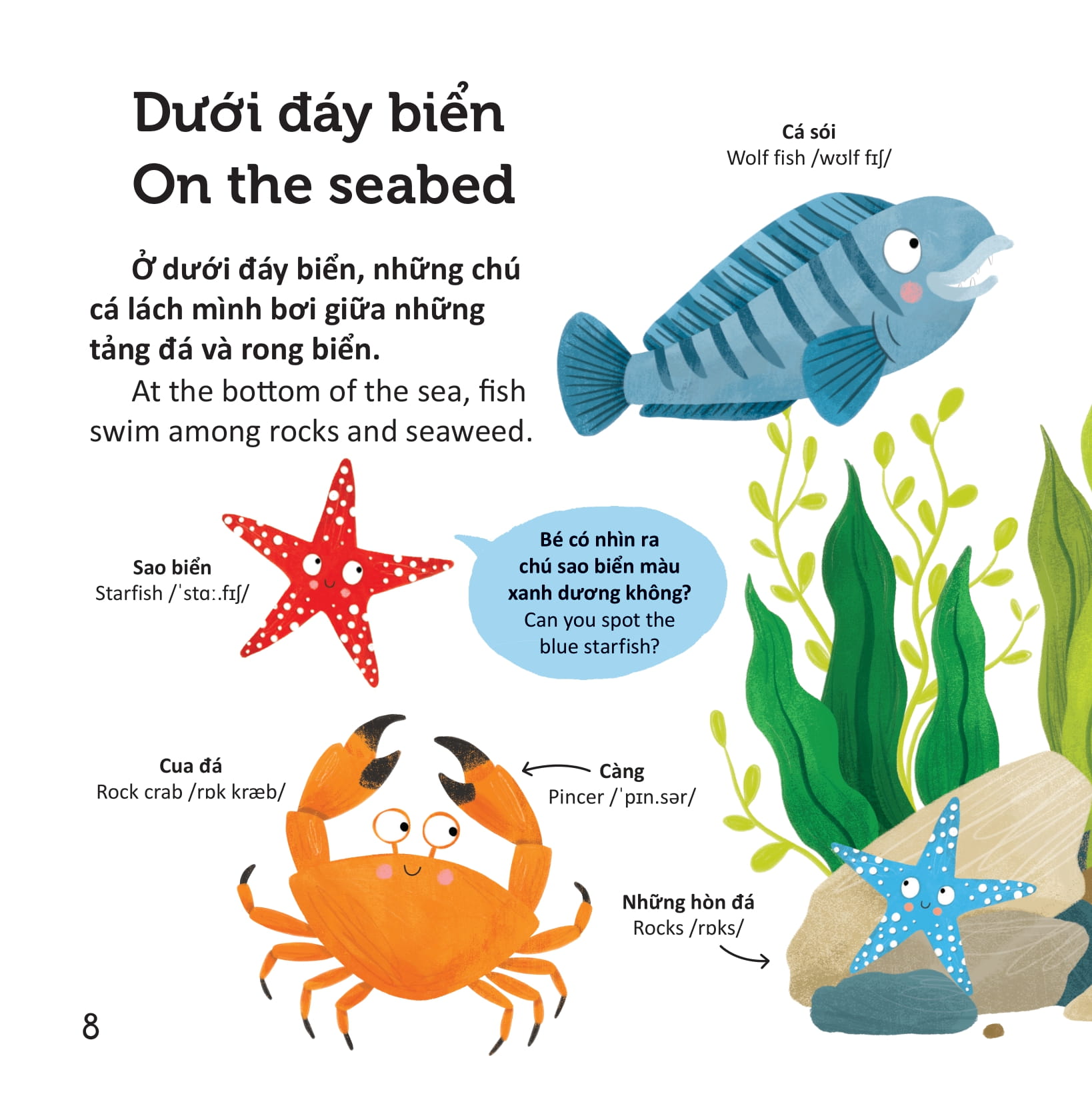 thư viện từ vựng đầu đời cho bé - động vật dưới biển - under the sea!
