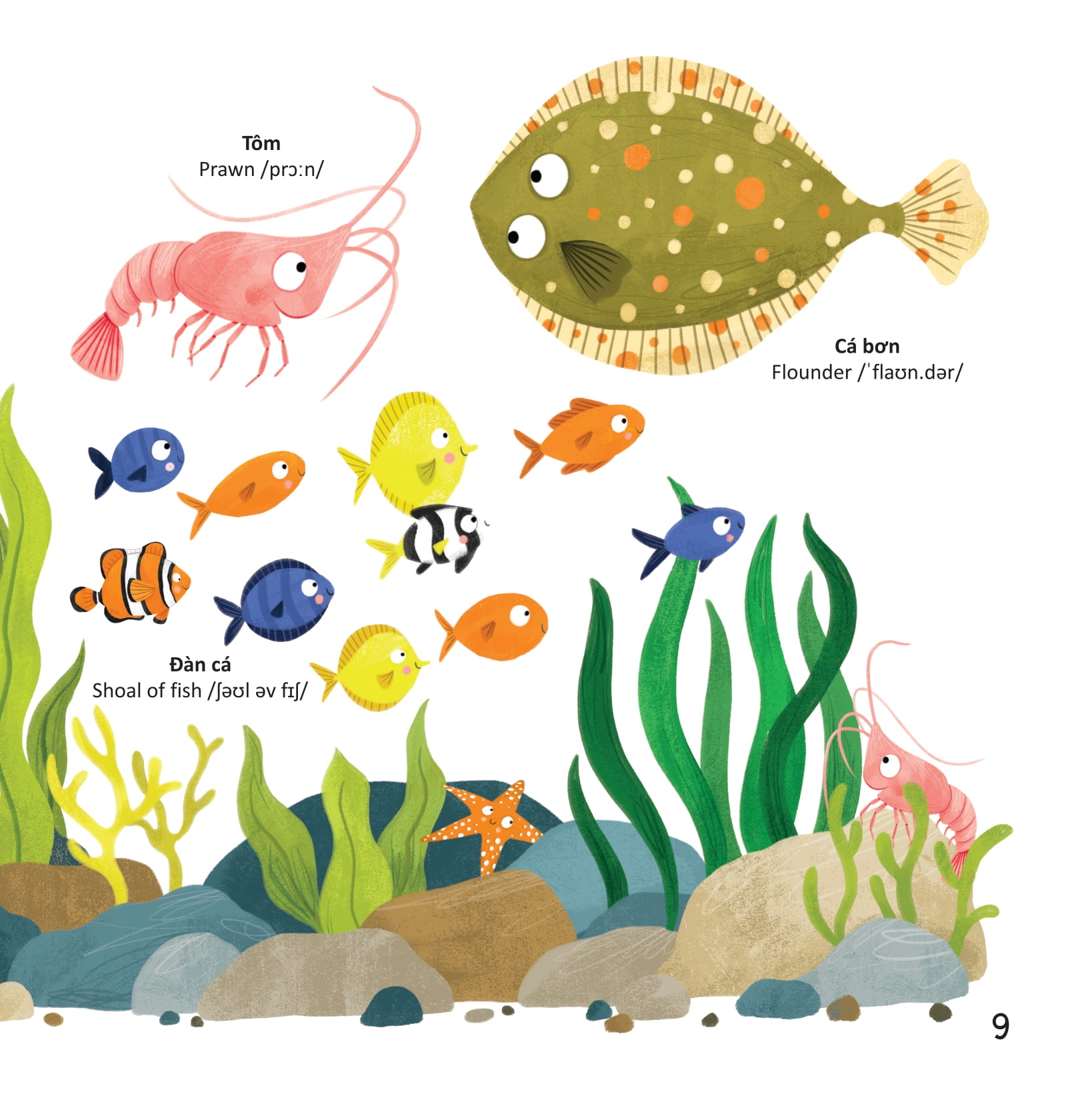 thư viện từ vựng đầu đời cho bé - động vật dưới biển - under the sea!