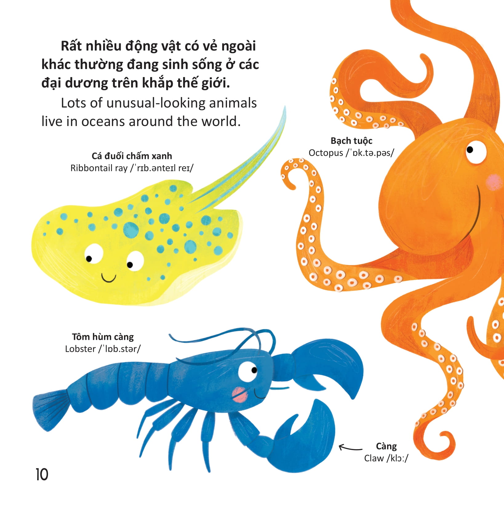 thư viện từ vựng đầu đời cho bé - động vật dưới biển - under the sea!