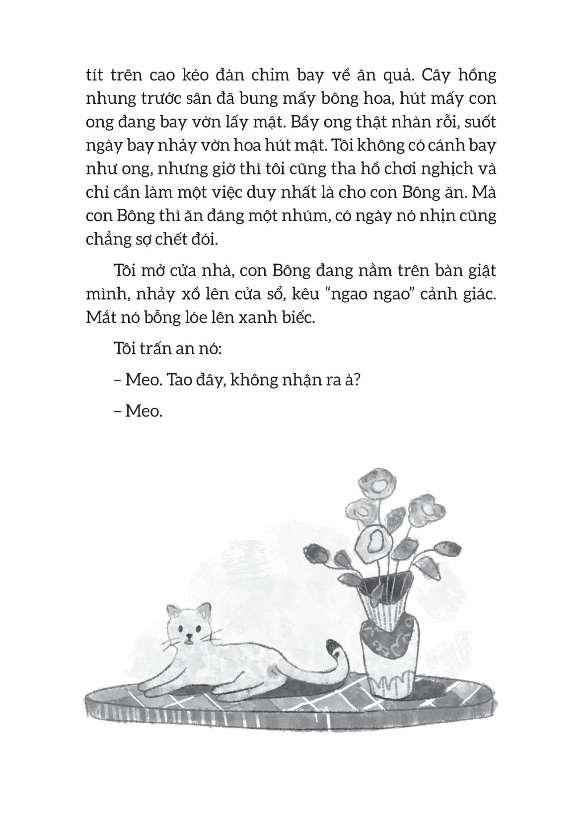 Thuc Day Voi Mat Troi