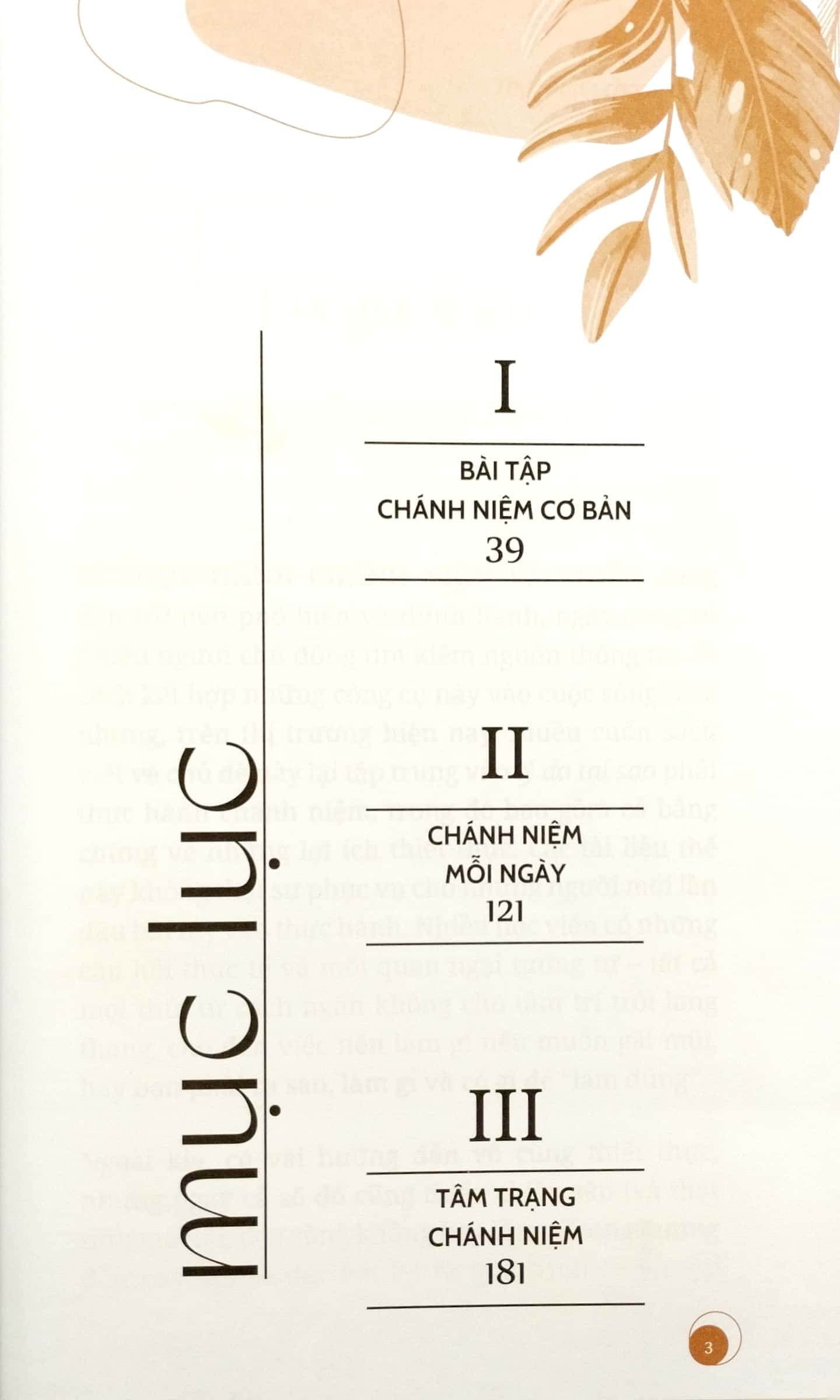 thực hành chánh niệm