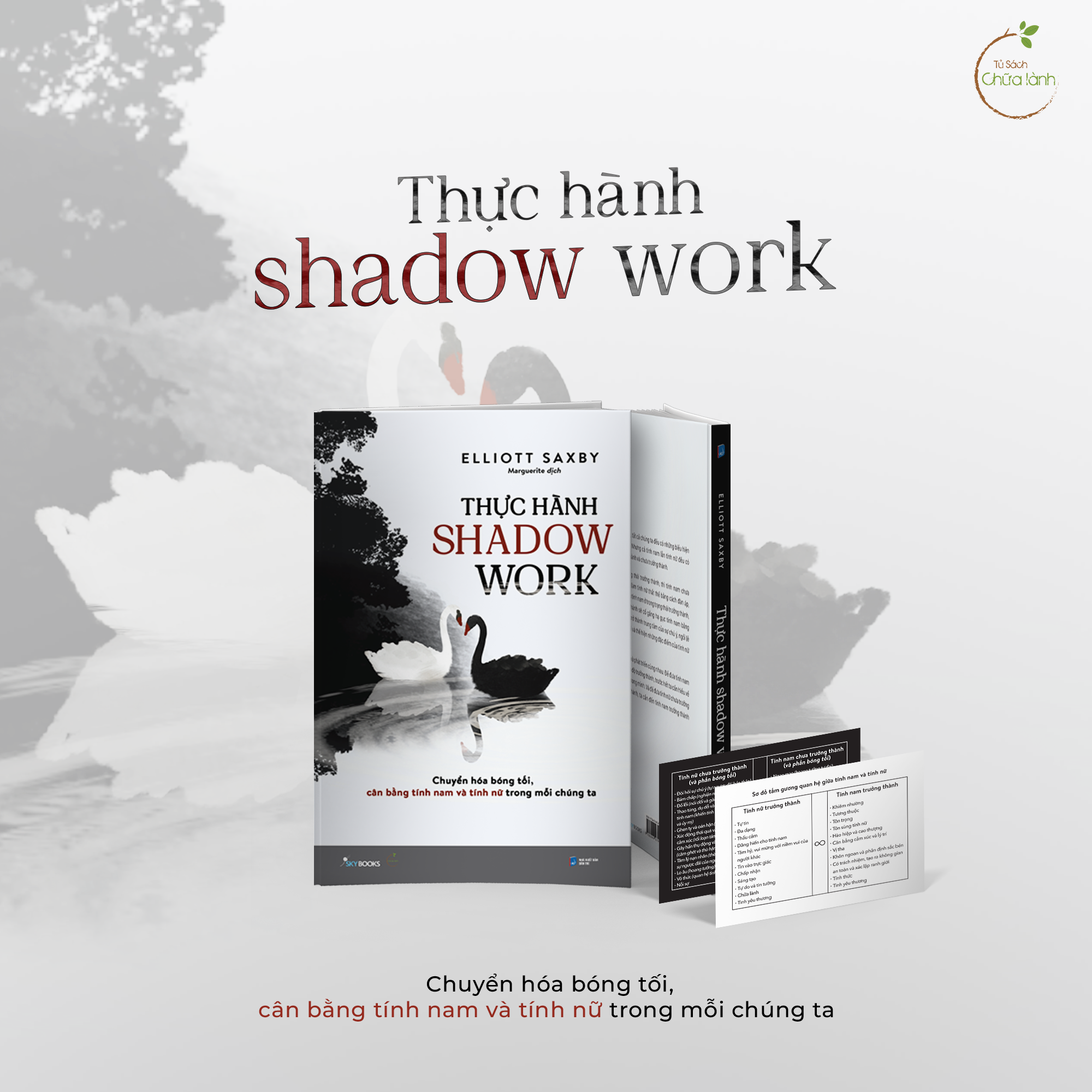 Thuc Hanh Shadow Work - Chuyen Hoa Bong Toi, Can Bang Tinh Nam Va Tinh Nu Trong Moi Chung Ta