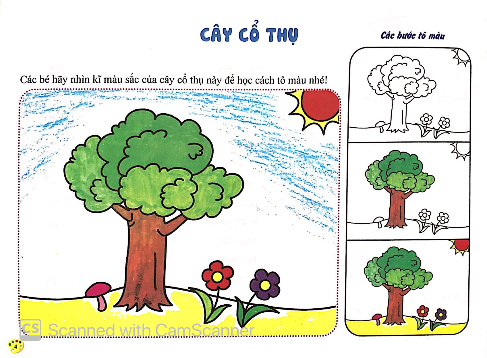 thực vật - tô màu