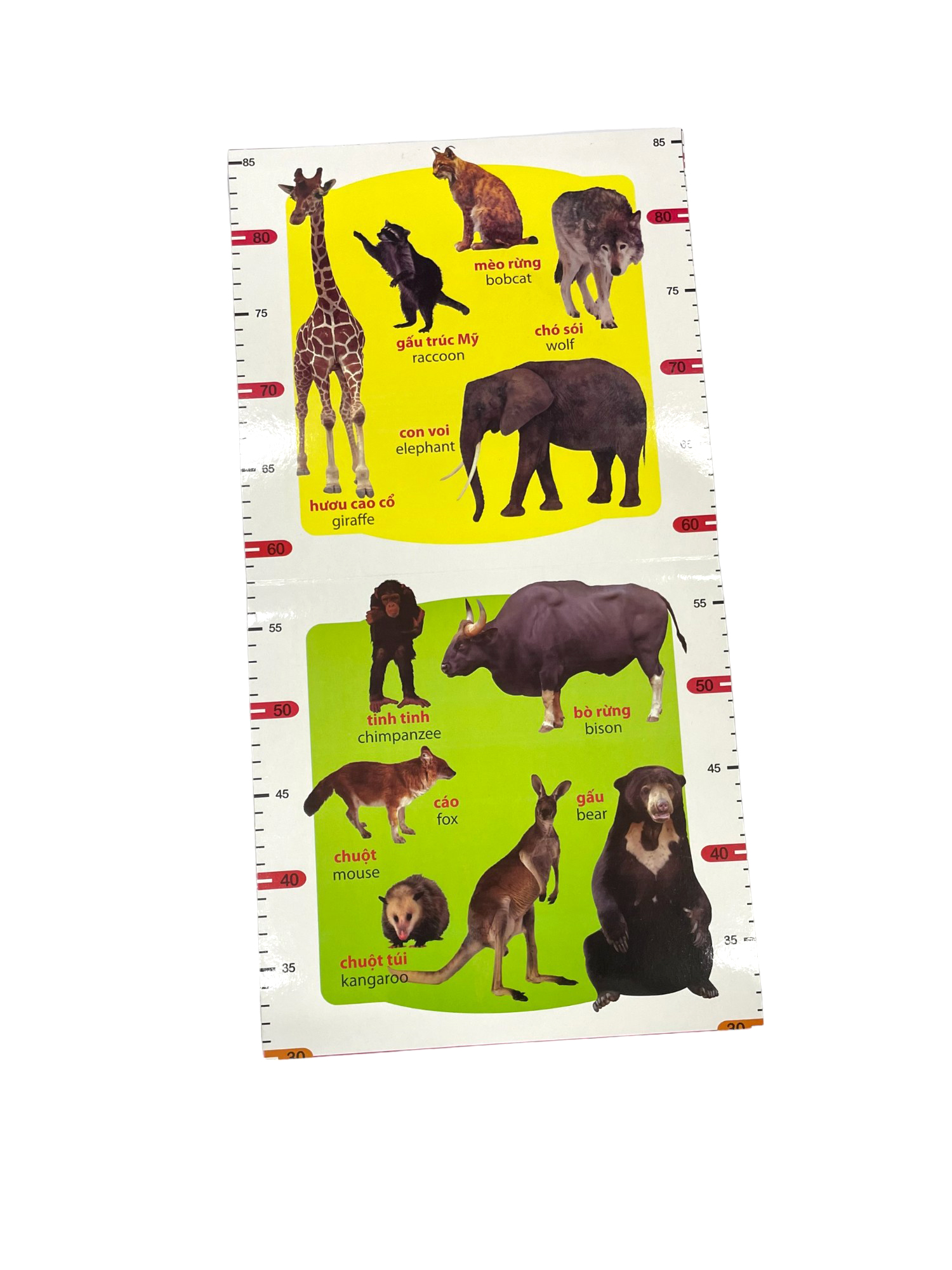thước đo chiều cao - động vật hoang dã (trí việt)