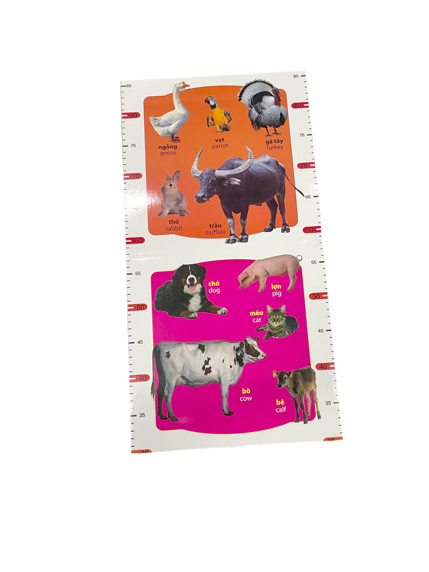 thước đo chiều cao - động vật nuôi (trí việt)