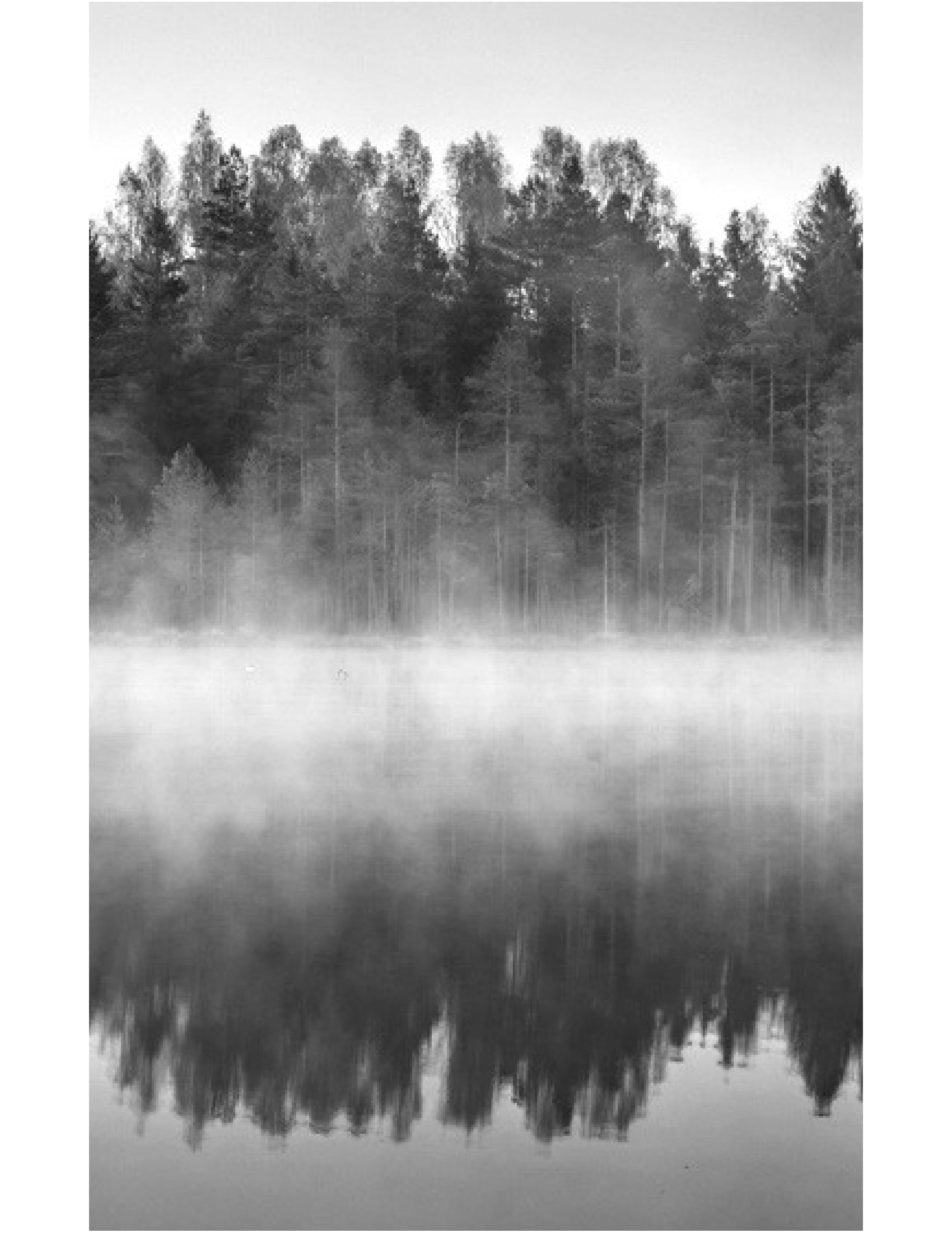 thương một tình thương