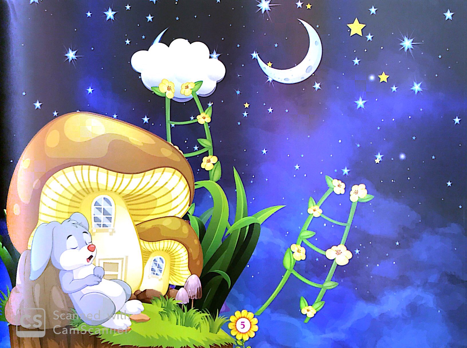 thường thức đời sống - tại sao mùa hè lại nóng bức