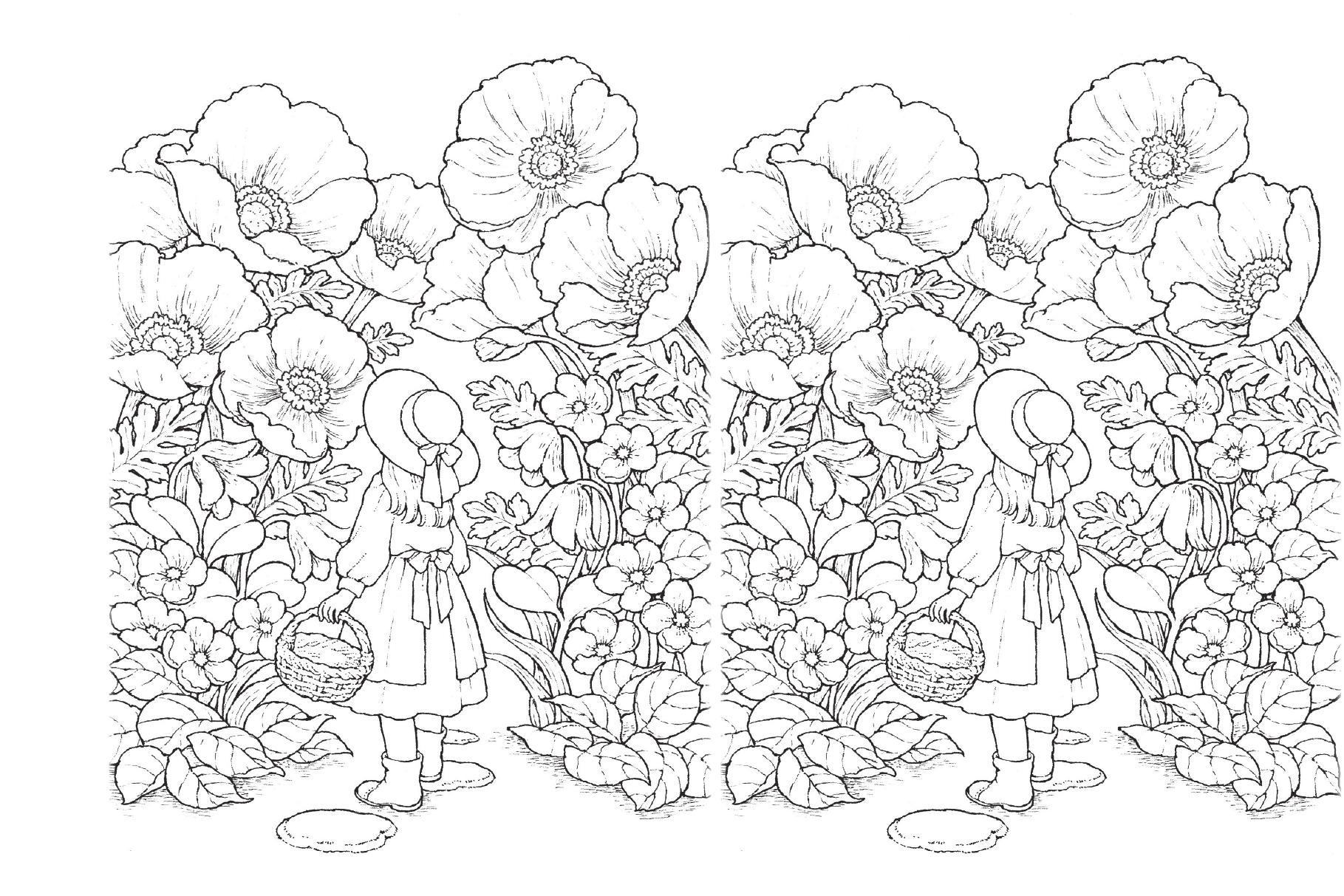 Tiem Postcard Trong Khu Rung Nho