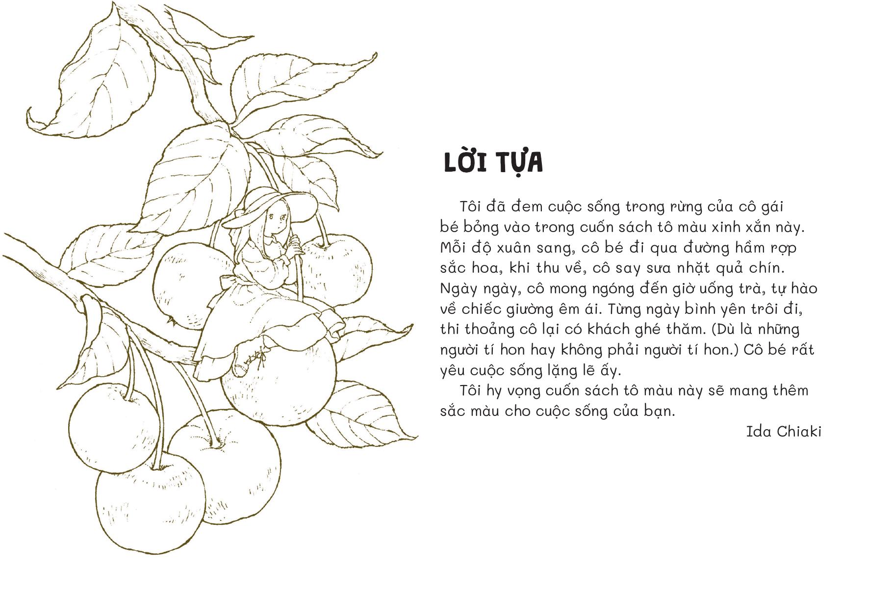 Tiem Postcard Trong Khu Rung Nho