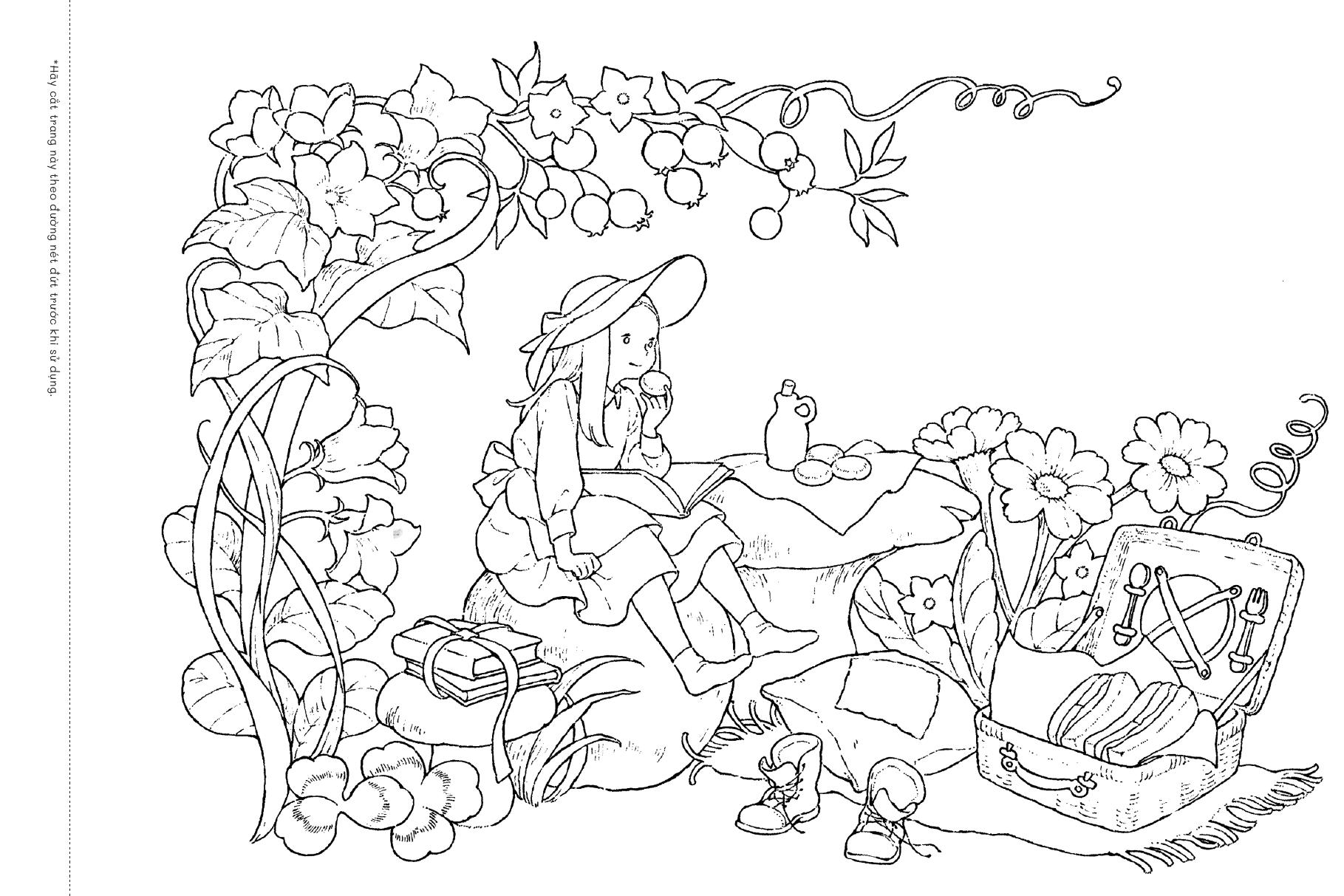 Tiem Postcard Trong Khu Rung Nho