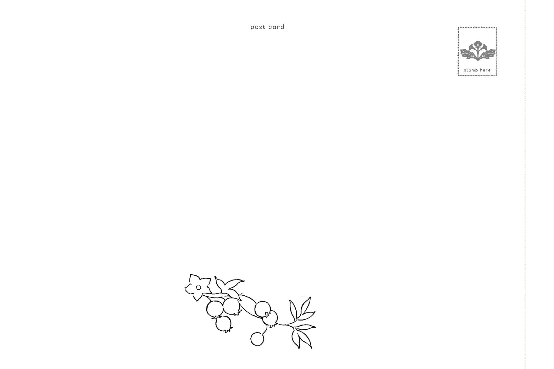 Tiem Postcard Trong Khu Rung Nho