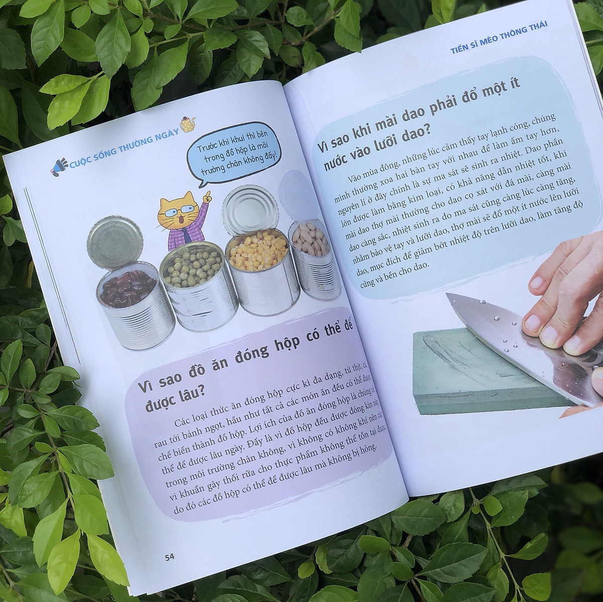 tiến sĩ mèo thông thái - cuộc sống thường ngày