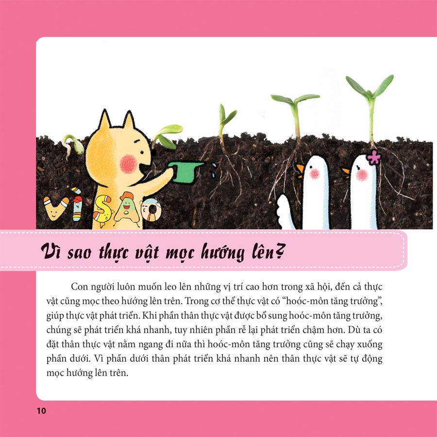 tiến sĩ mèo thông thái - thực vật diệu kì
