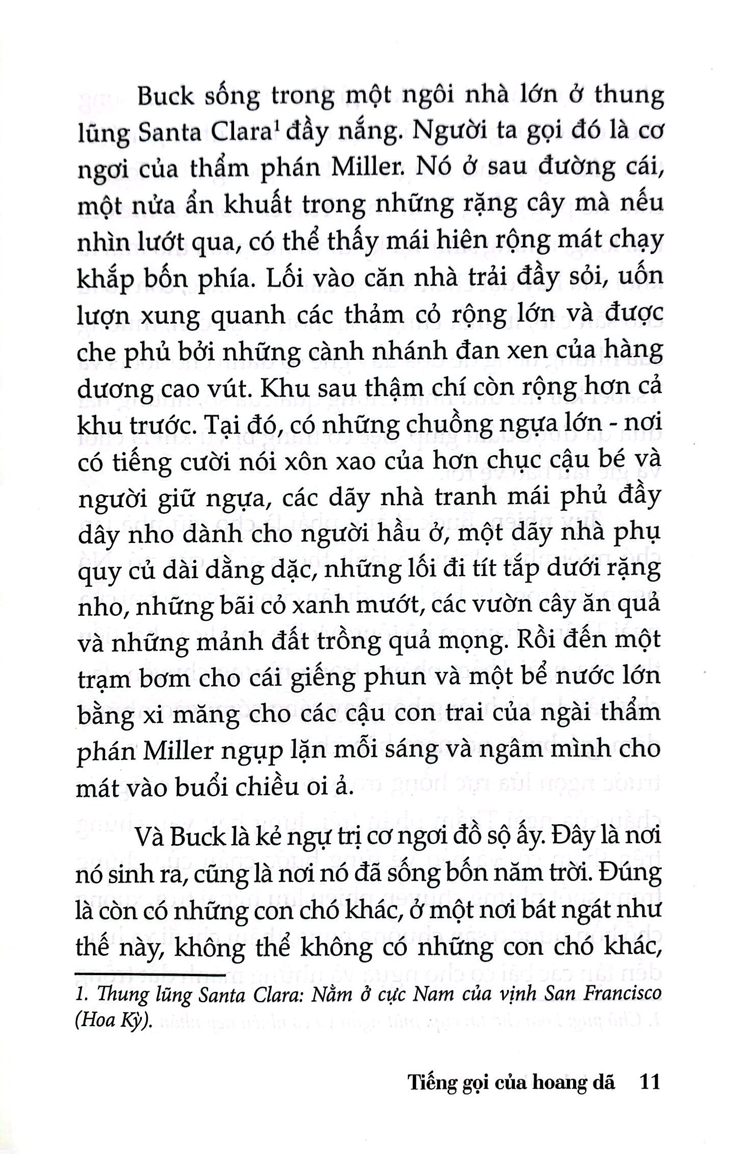 tiếng gọi của hoang dã - bìa cứng