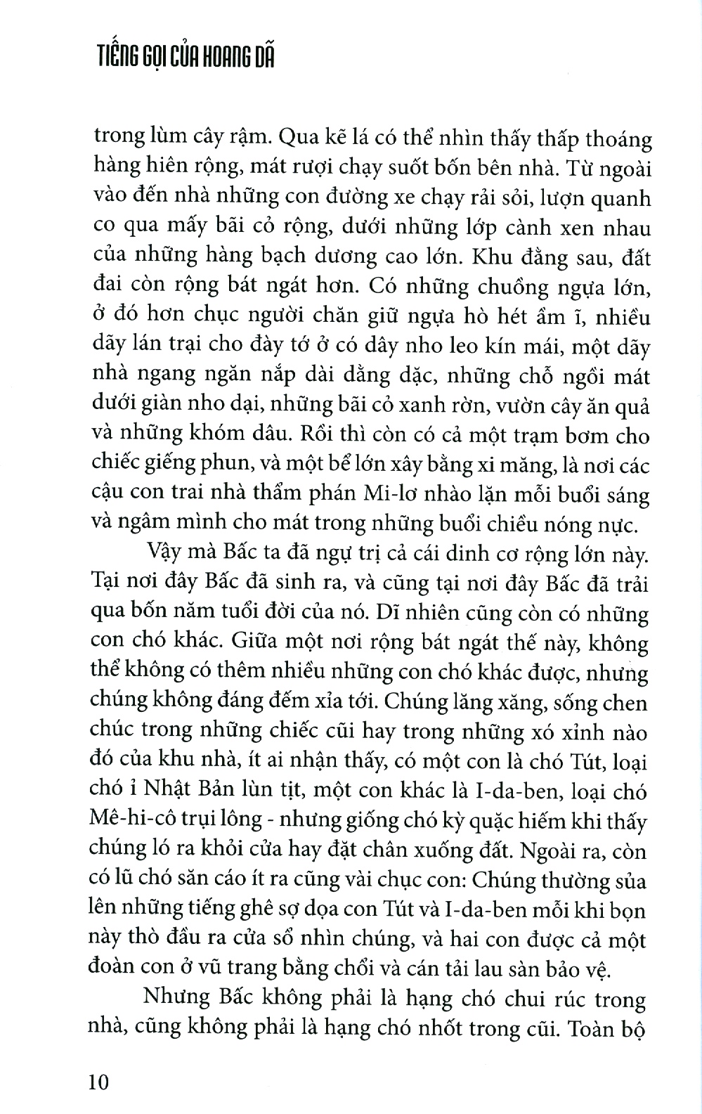 tiếng gọi của hoang dã (tái bản 2021)