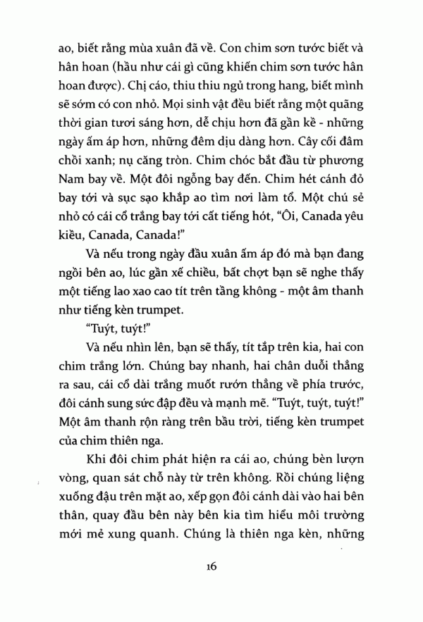 tiếng kèn thiên nga