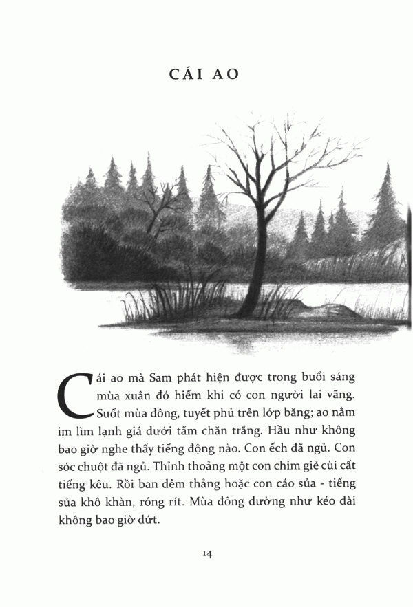 tiếng kèn thiên nga