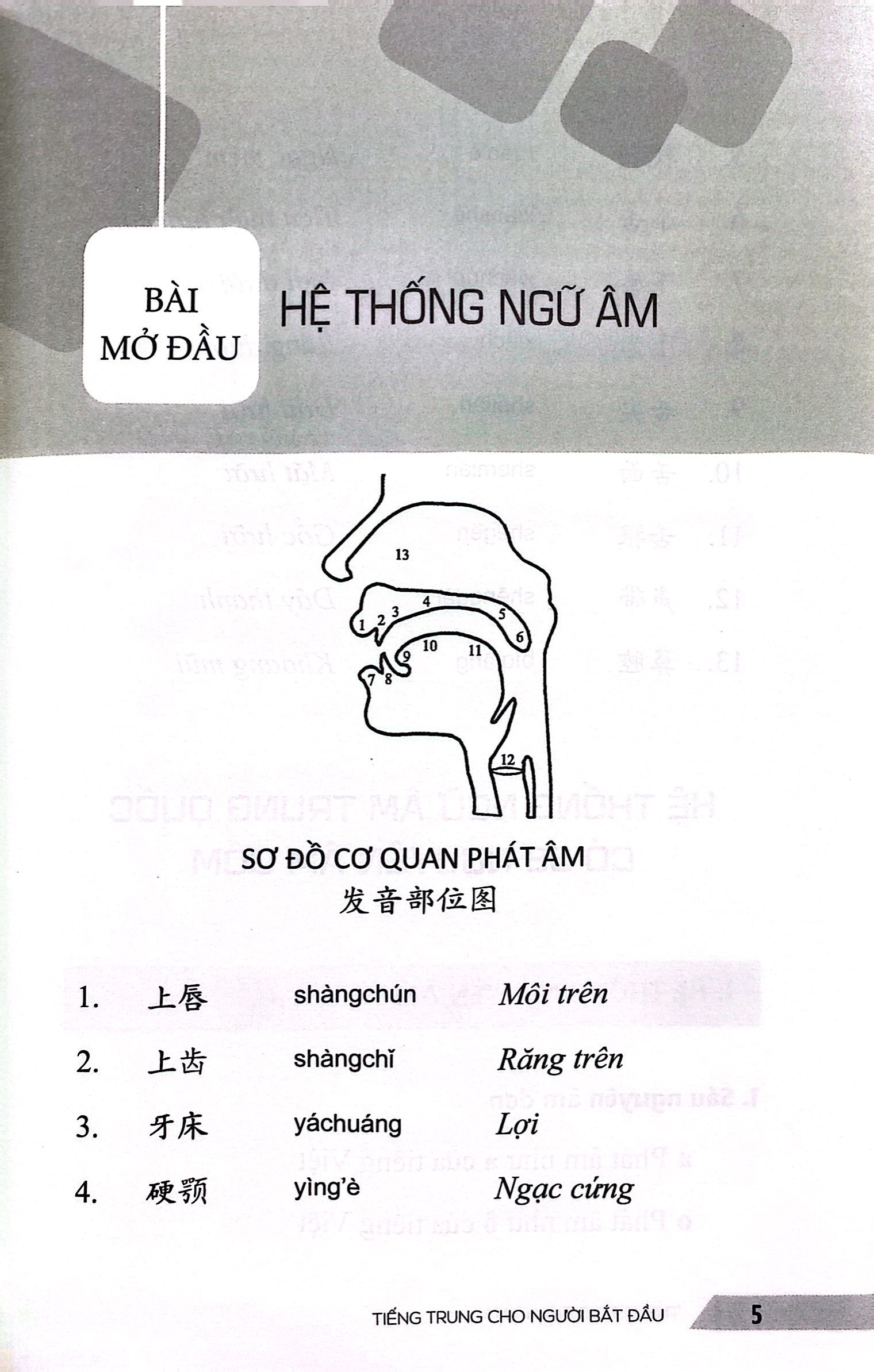 tiếng trung cho người bắt đầu - giáo trình hán ngữ căn bản với 15 chủ đề giao tiếp thông dụng
