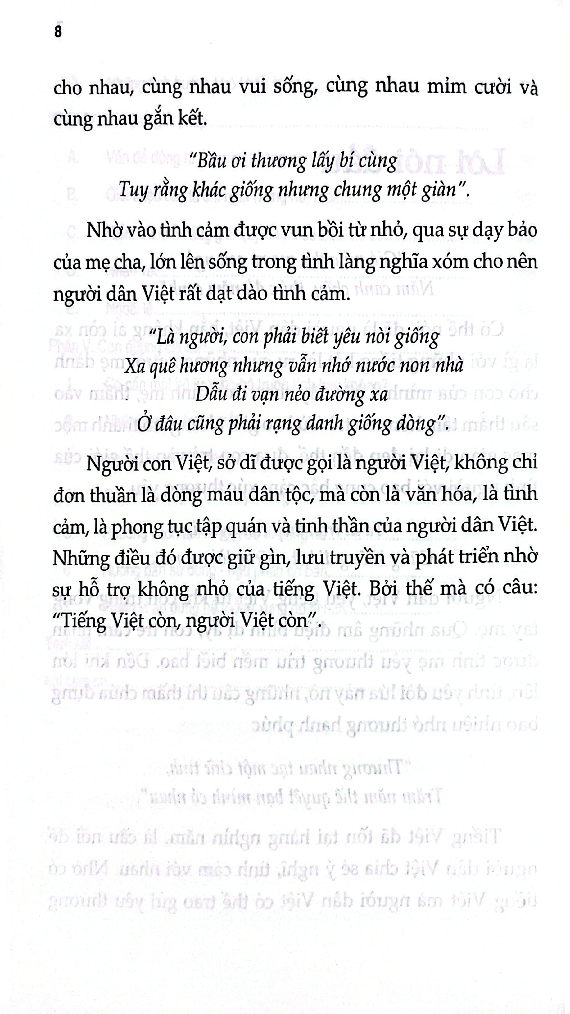Tiếng Việt Cần Một "Đôi Đũa"