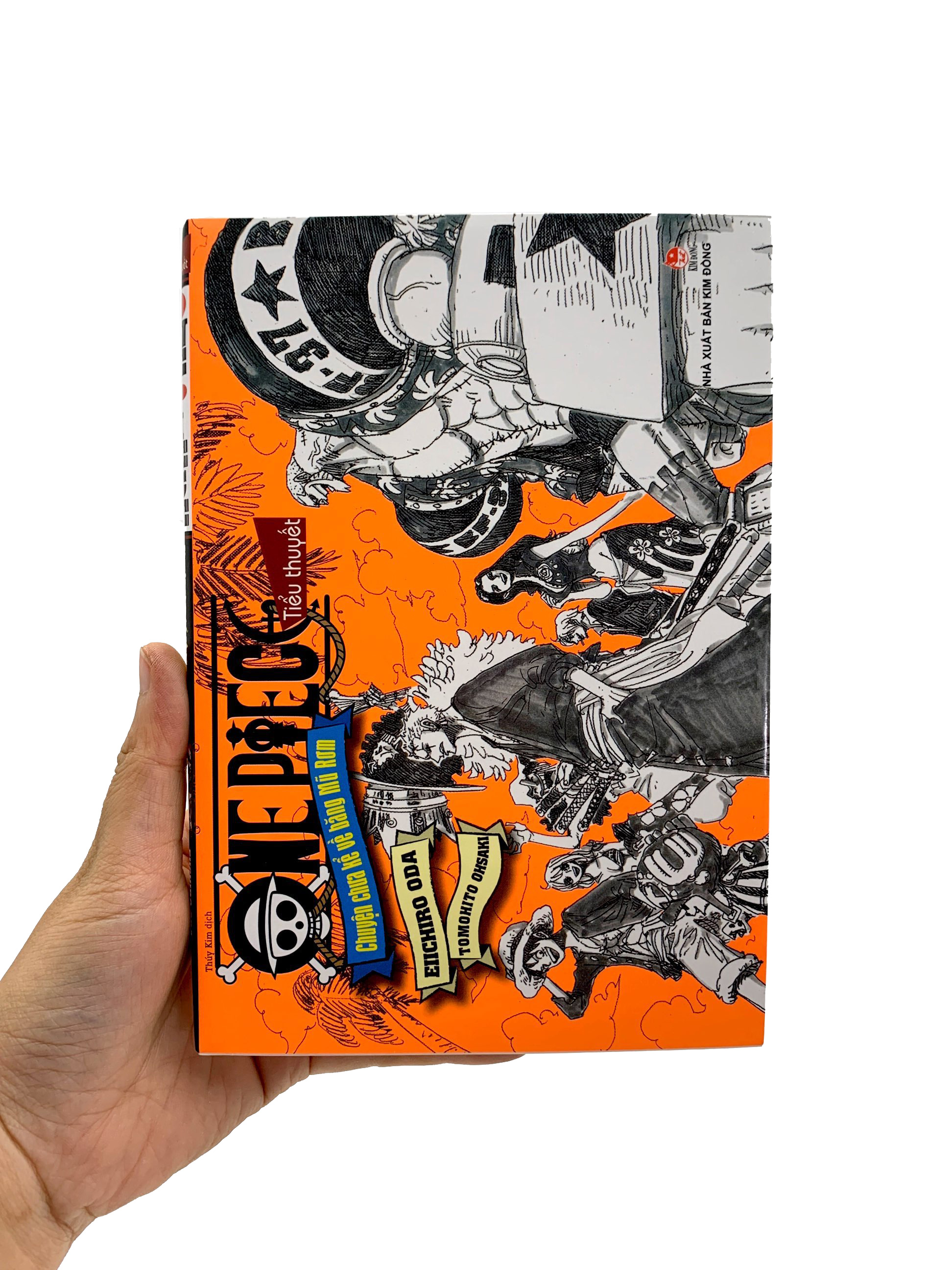 tiểu thuyết one piece - chuyện chưa kể về băng mũ rơm