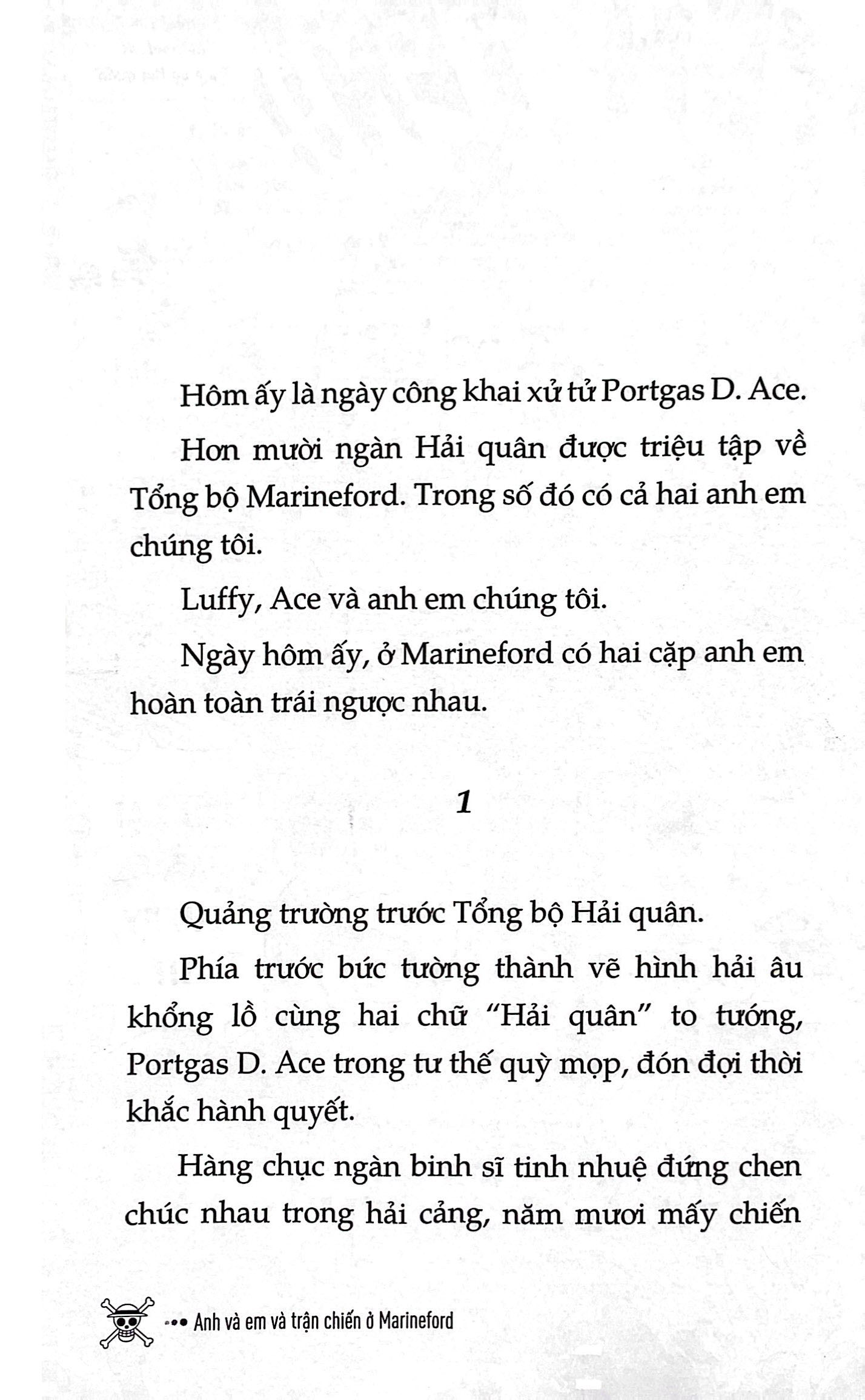 tiểu thuyết one piece - chuyện chưa kể về băng mũ rơm