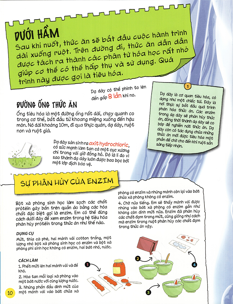 tìm hiểu về: cơ thể người