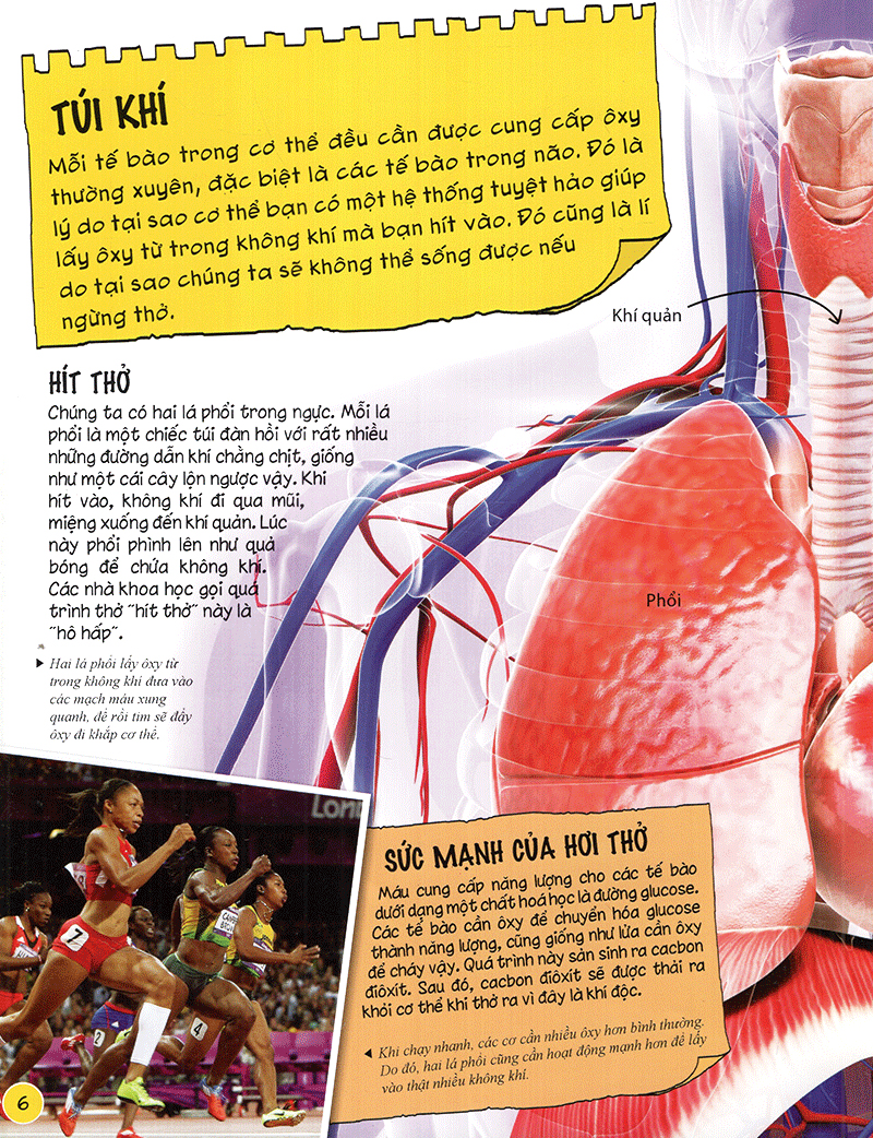 tìm hiểu về: cơ thể người