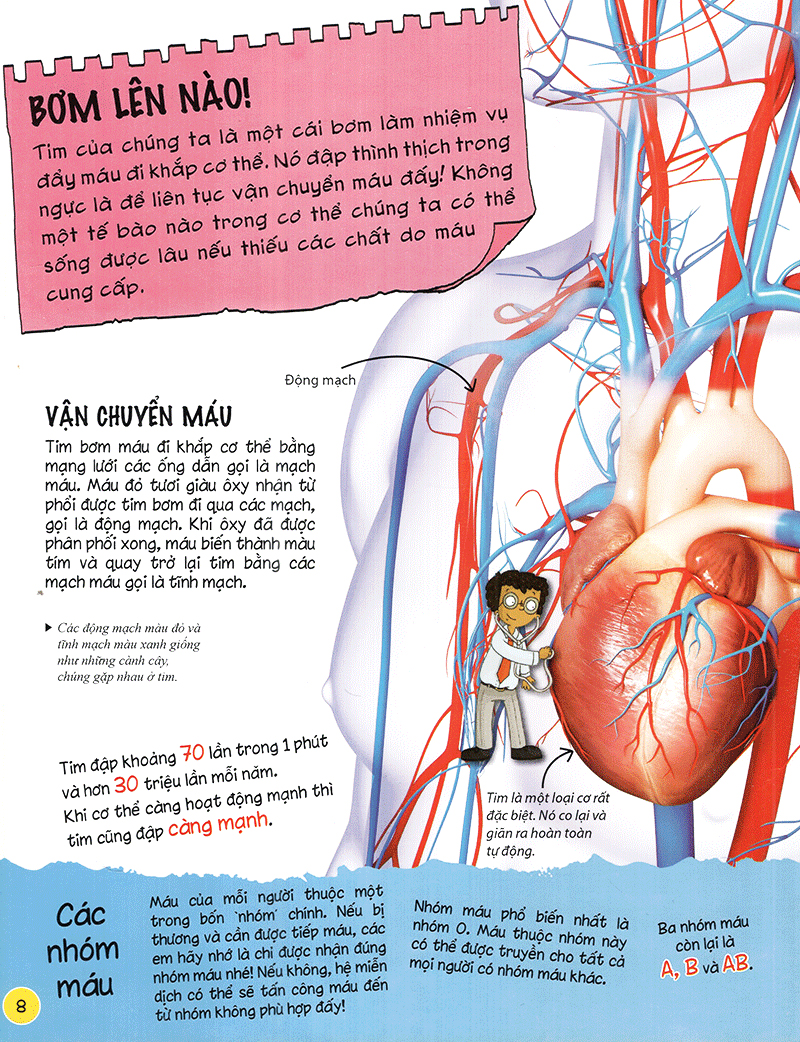 tìm hiểu về: cơ thể người