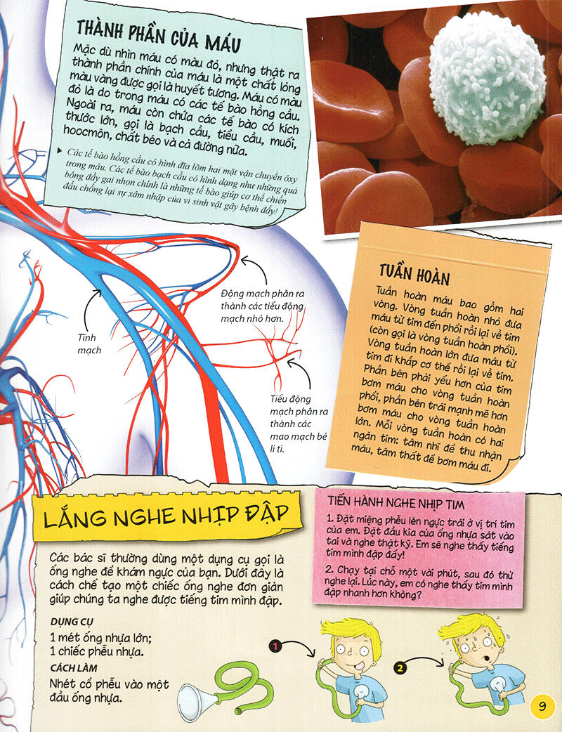 tìm hiểu về: cơ thể người