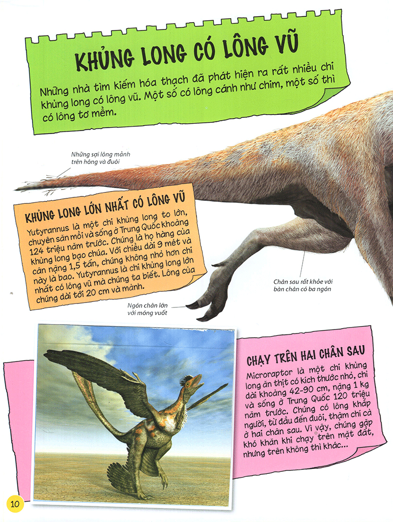 tìm hiểu về khủng long