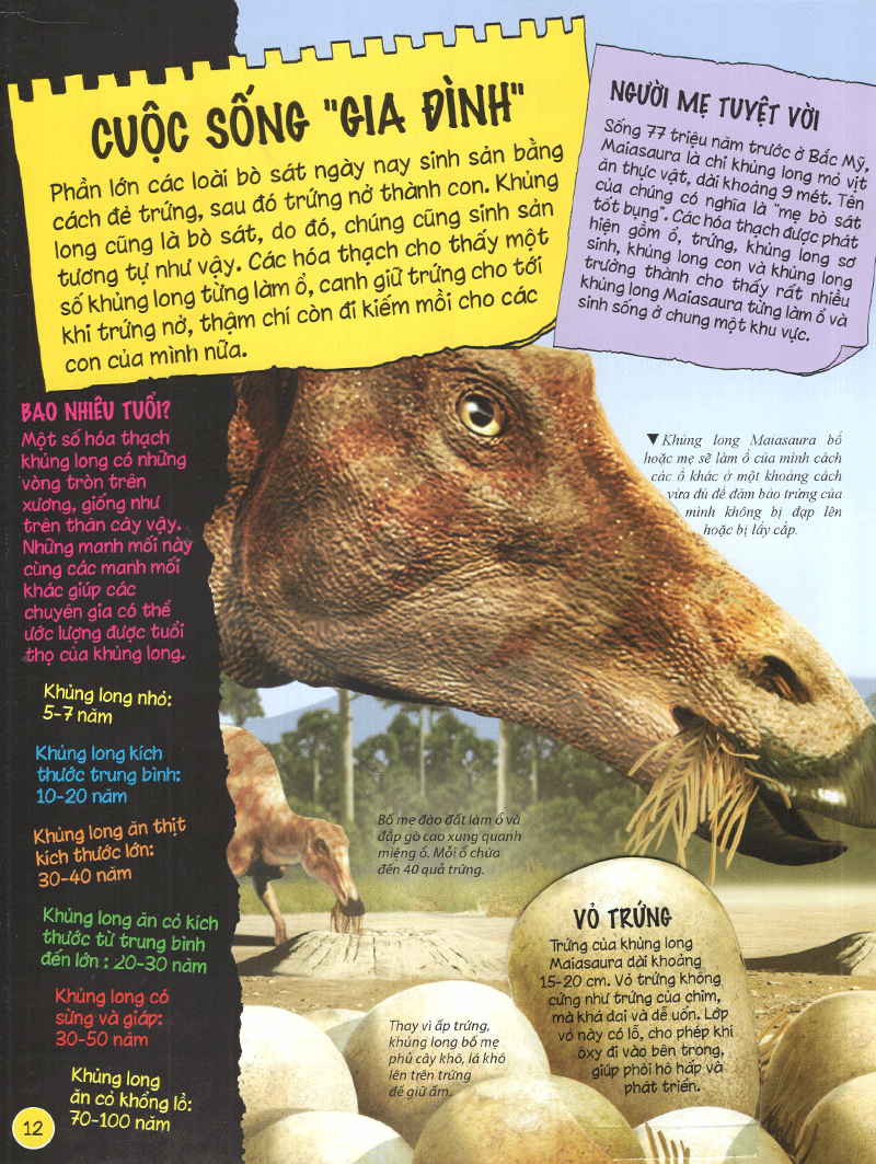 tìm hiểu về khủng long