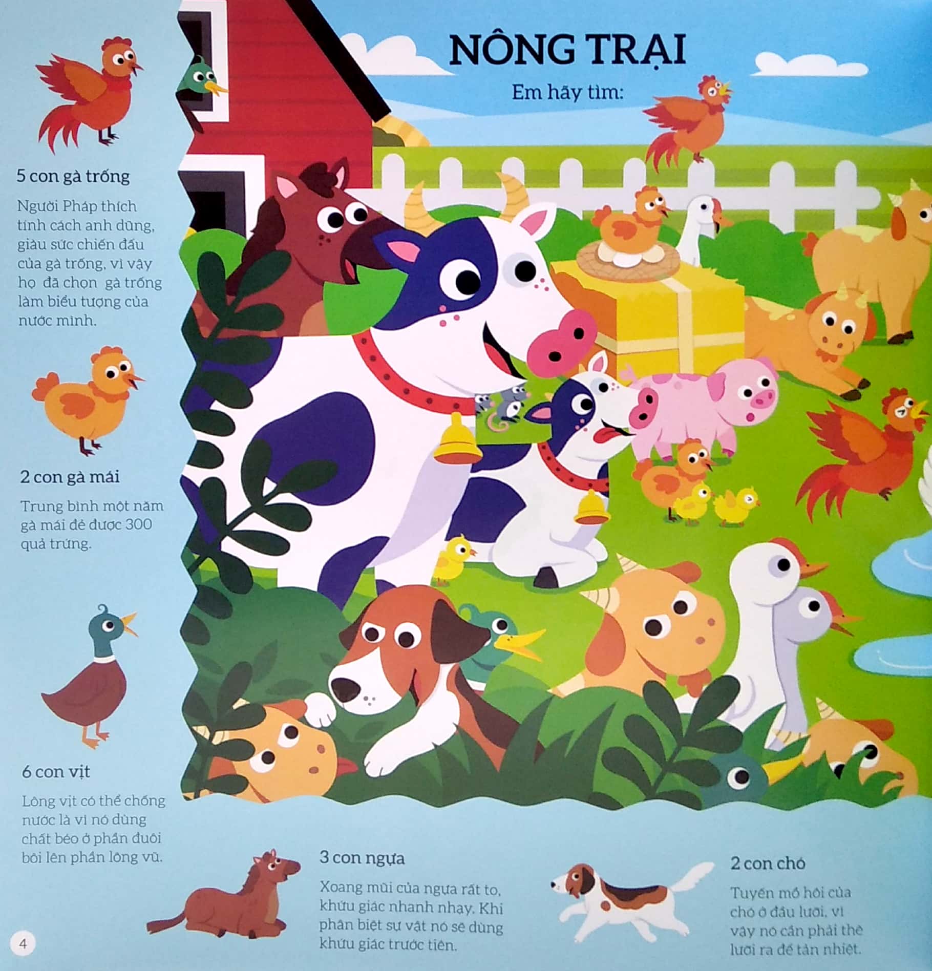 tìm kiếm thông minh - phát triển khả năng tập trung - thế giới động vật