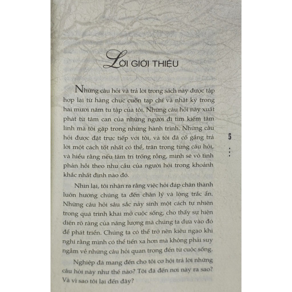 tìm lời đáp từ rừng thẳm - questions from the city, answers from the forest