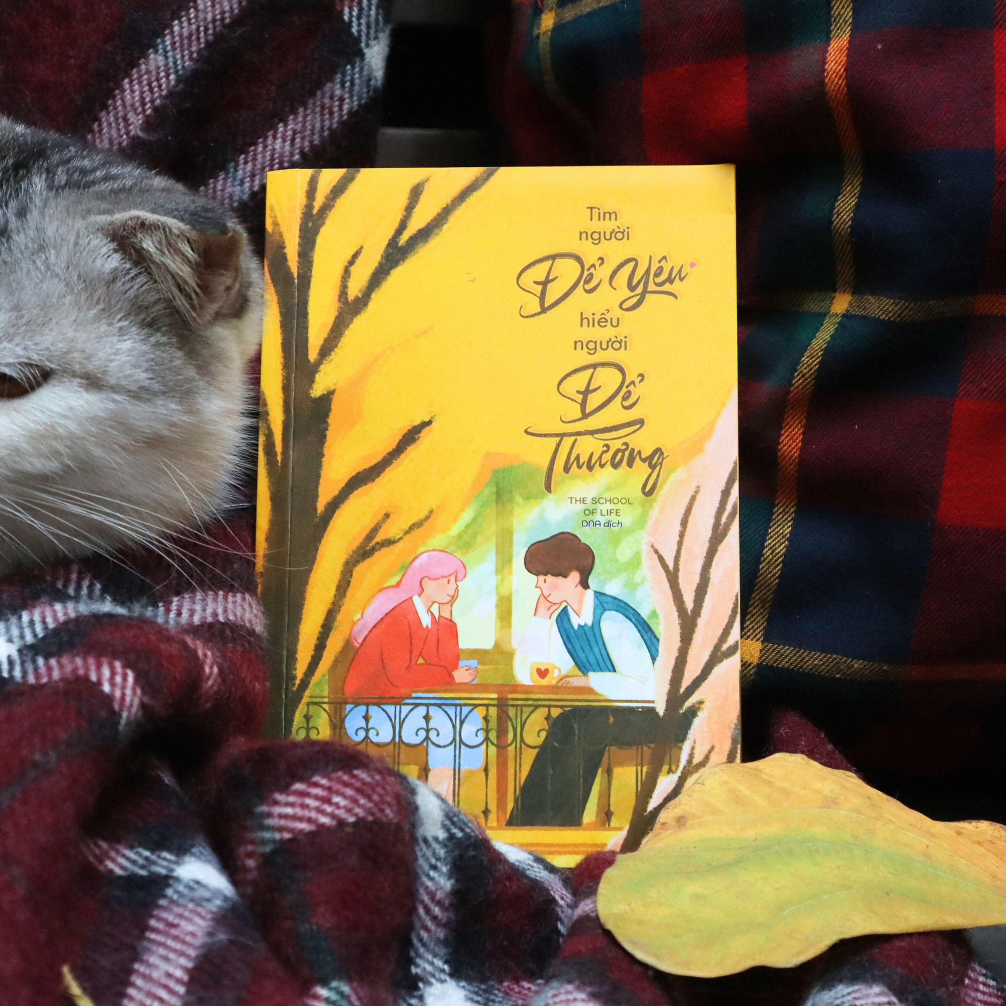 Tìm Người Để Yêu - Hiểu Người Để Thương