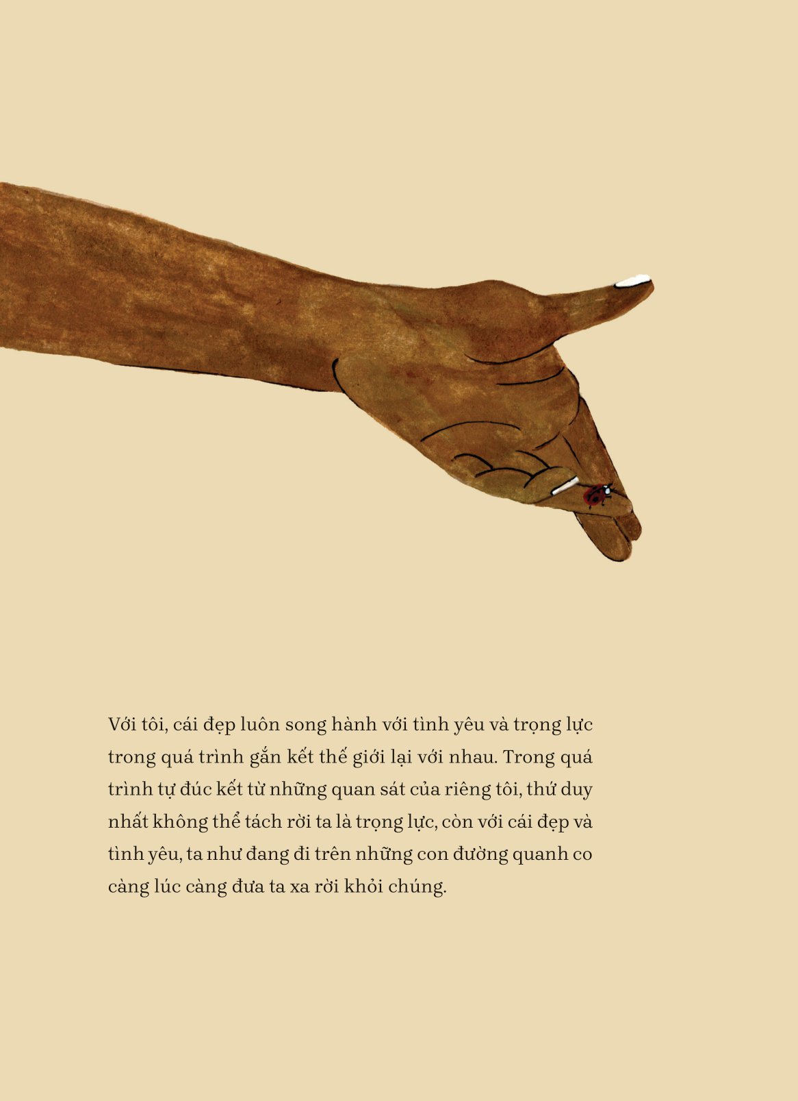 tìm về và kết nối với vẻ đẹp tiềm ẩn quanh ta - everything, beautiful