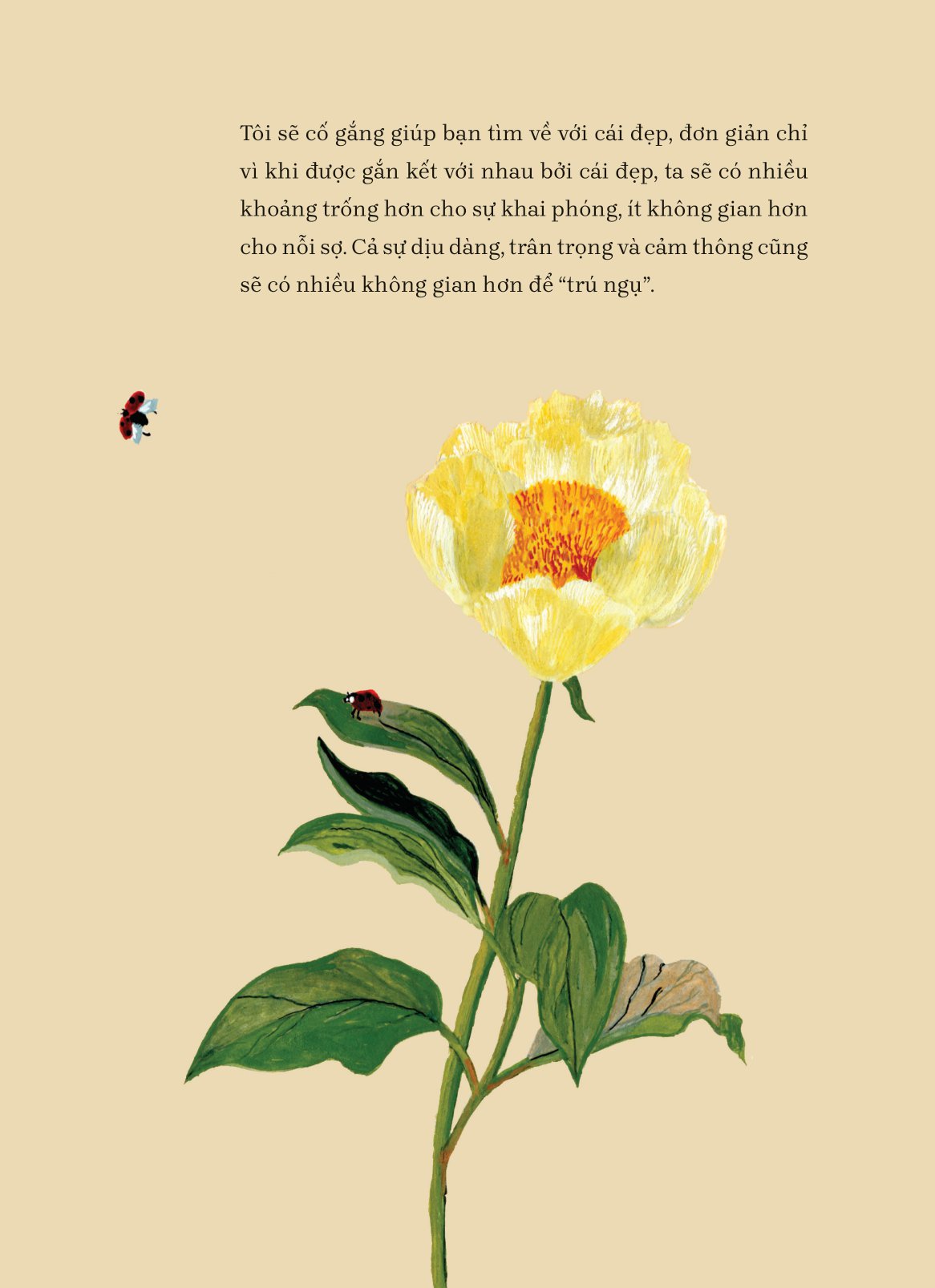 tìm về và kết nối với vẻ đẹp tiềm ẩn quanh ta - everything, beautiful