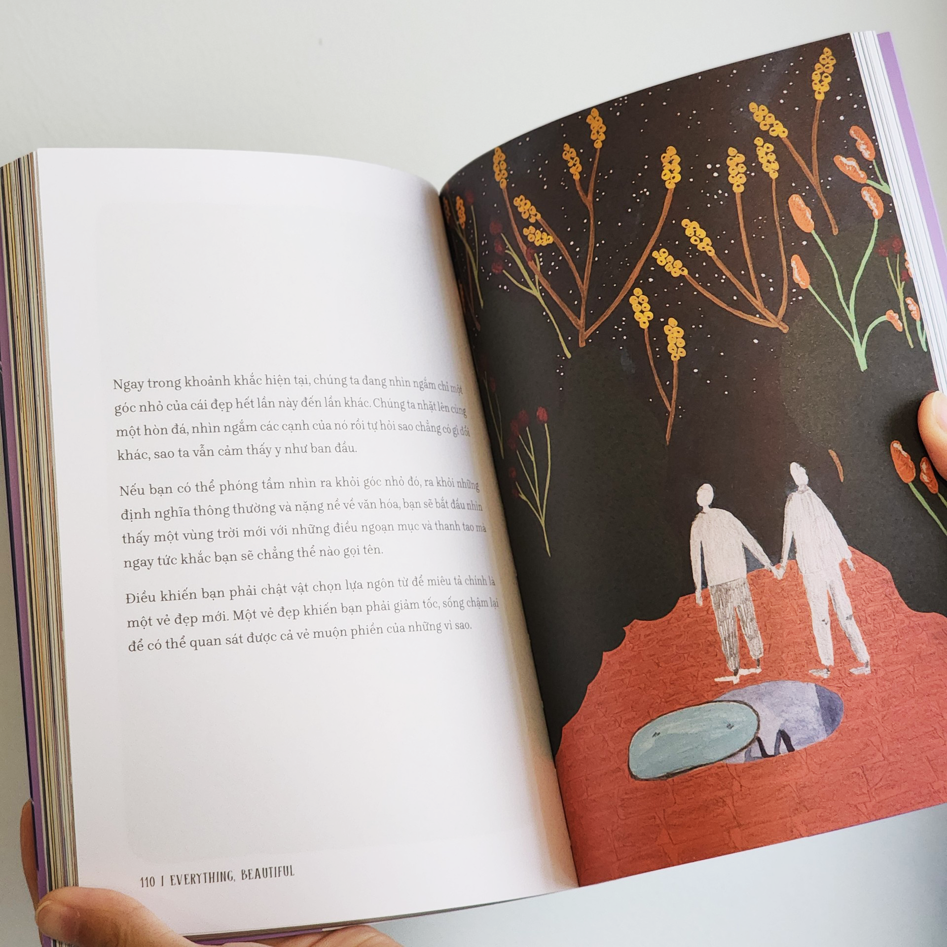 tìm về và kết nối với vẻ đẹp tiềm ẩn quanh ta - everything, beautiful