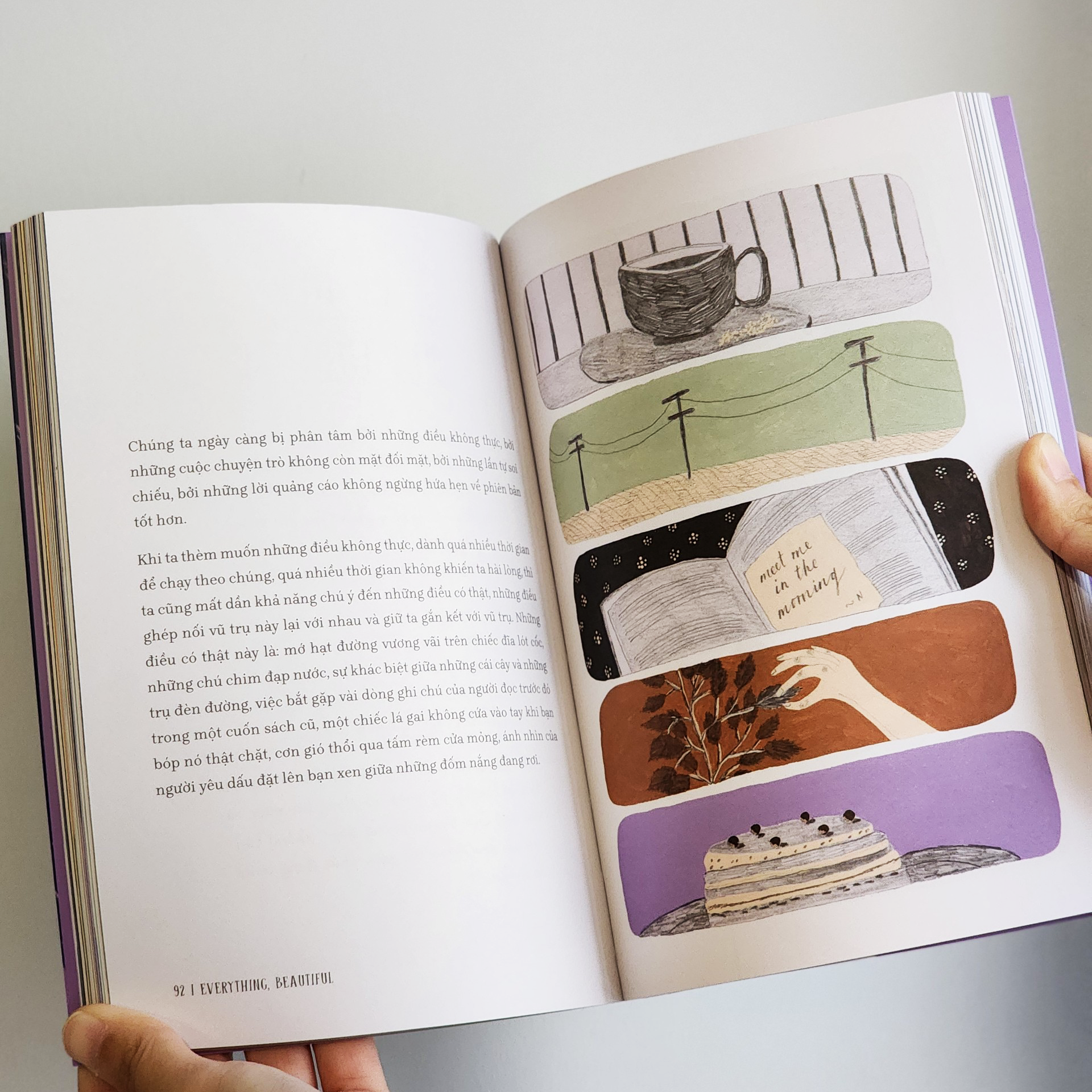 tìm về và kết nối với vẻ đẹp tiềm ẩn quanh ta - everything, beautiful