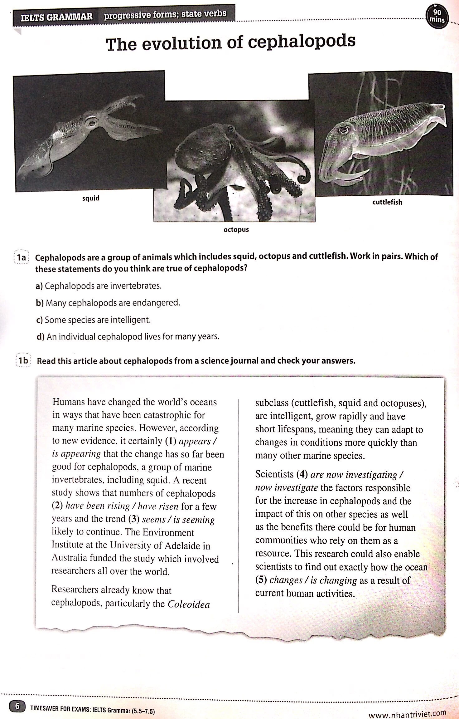 timesaver for exams - ielts grammar 5.5 - 7.5