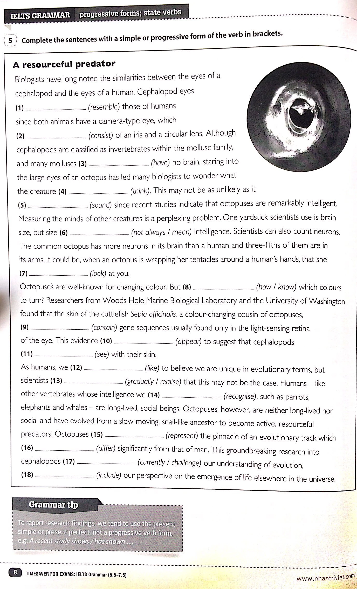 timesaver for exams - ielts grammar 5.5 - 7.5