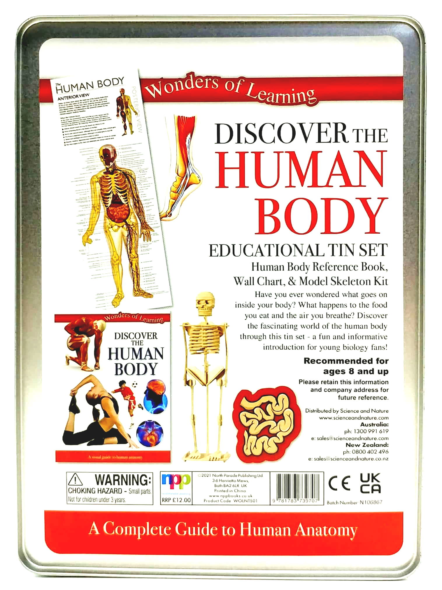 tin set - discover the human body