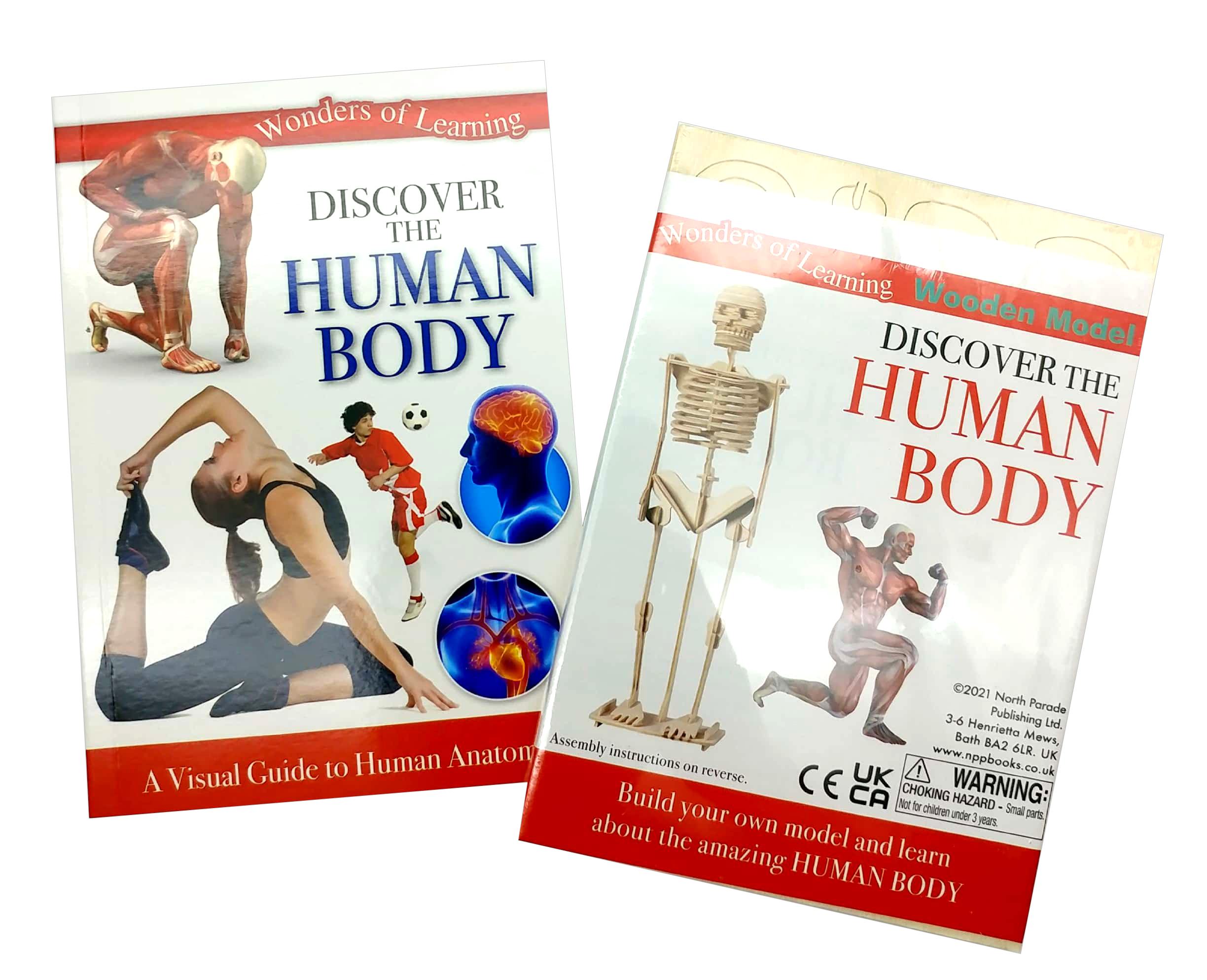 tin set - discover the human body