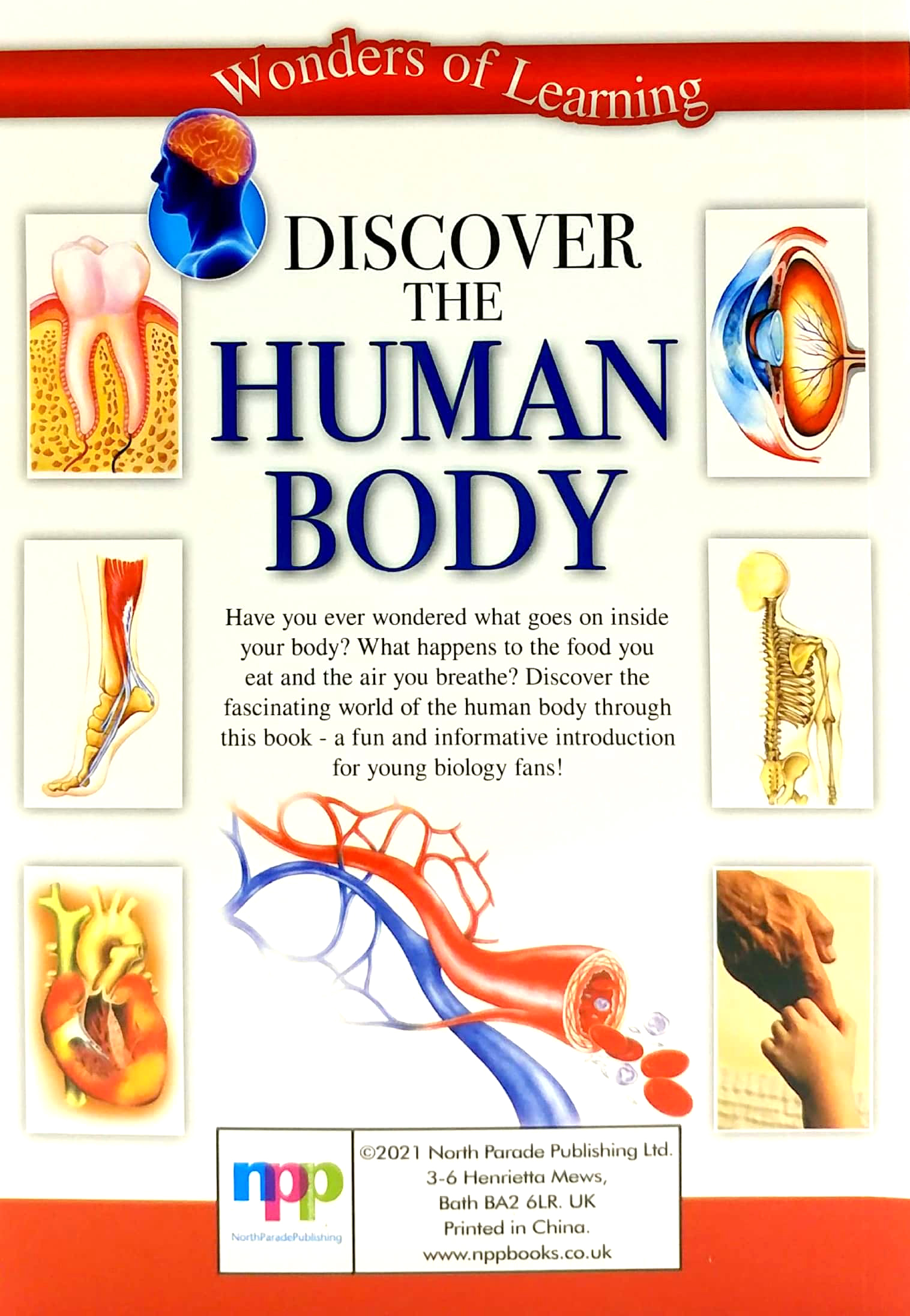tin set - discover the human body